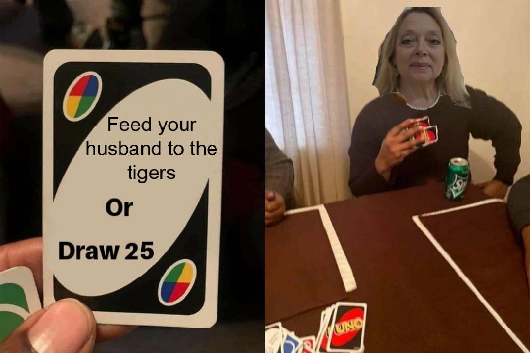 She did it memes
