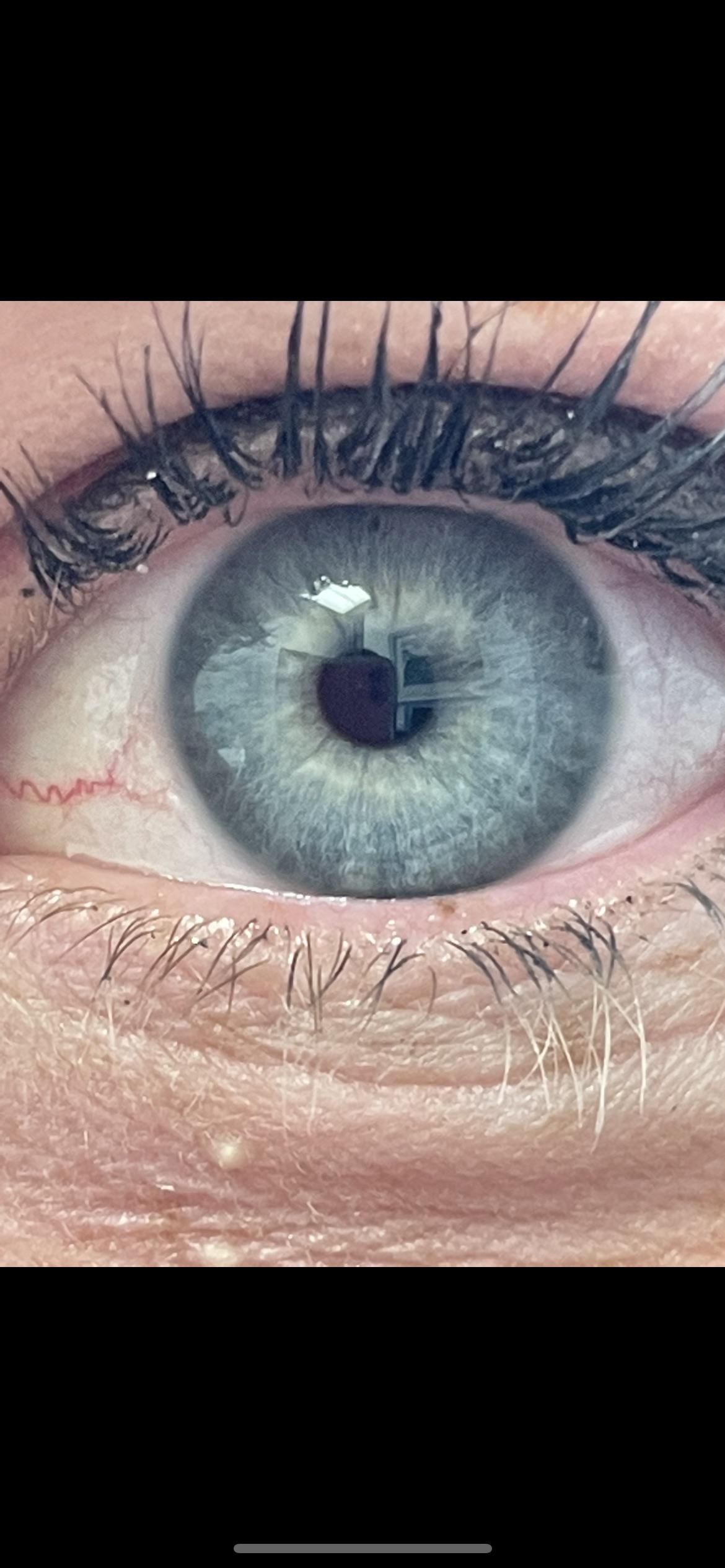 What season does my eye say? r/coloranalysis