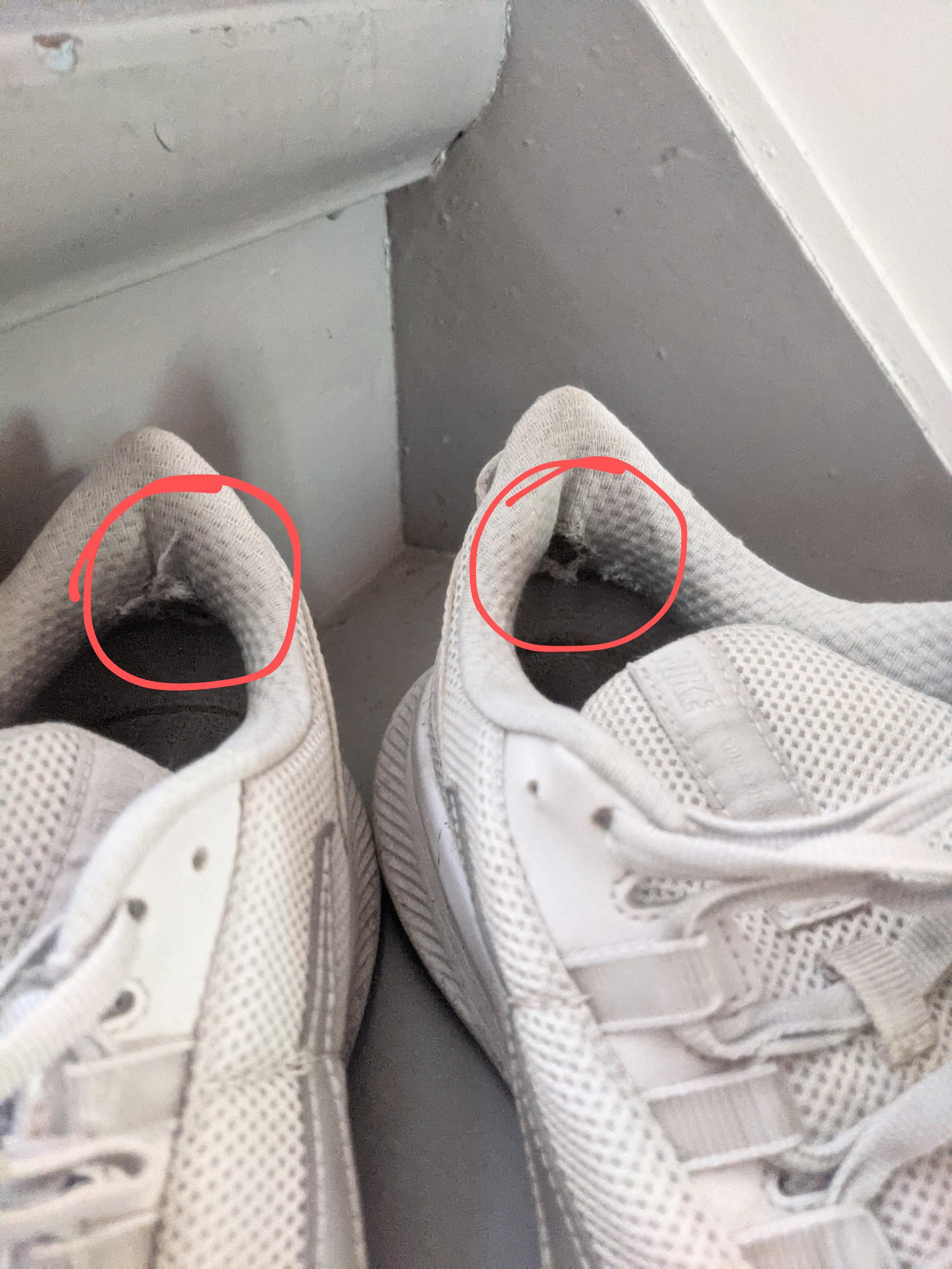 These little bastards are giving me blisters every time I walk more