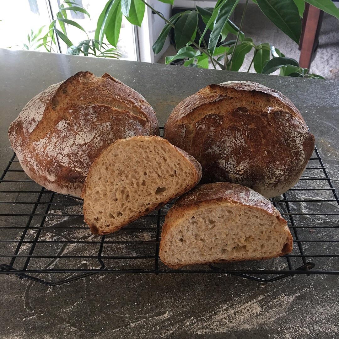 Whole Wheat Bread Recipe With Poolish at Abbey Wales blog