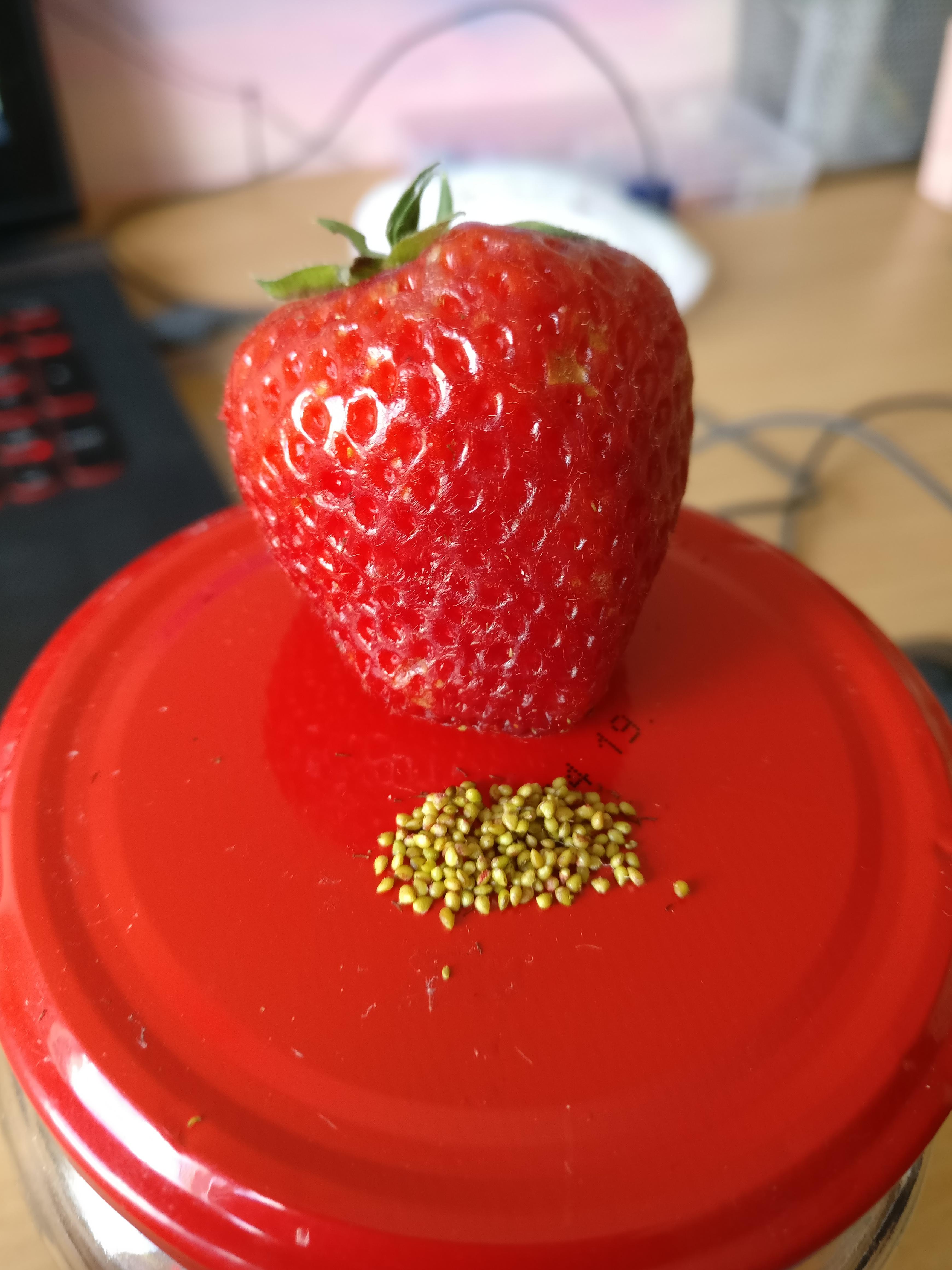 This would be the only way I could enjoy eating strawberries. The seeds
