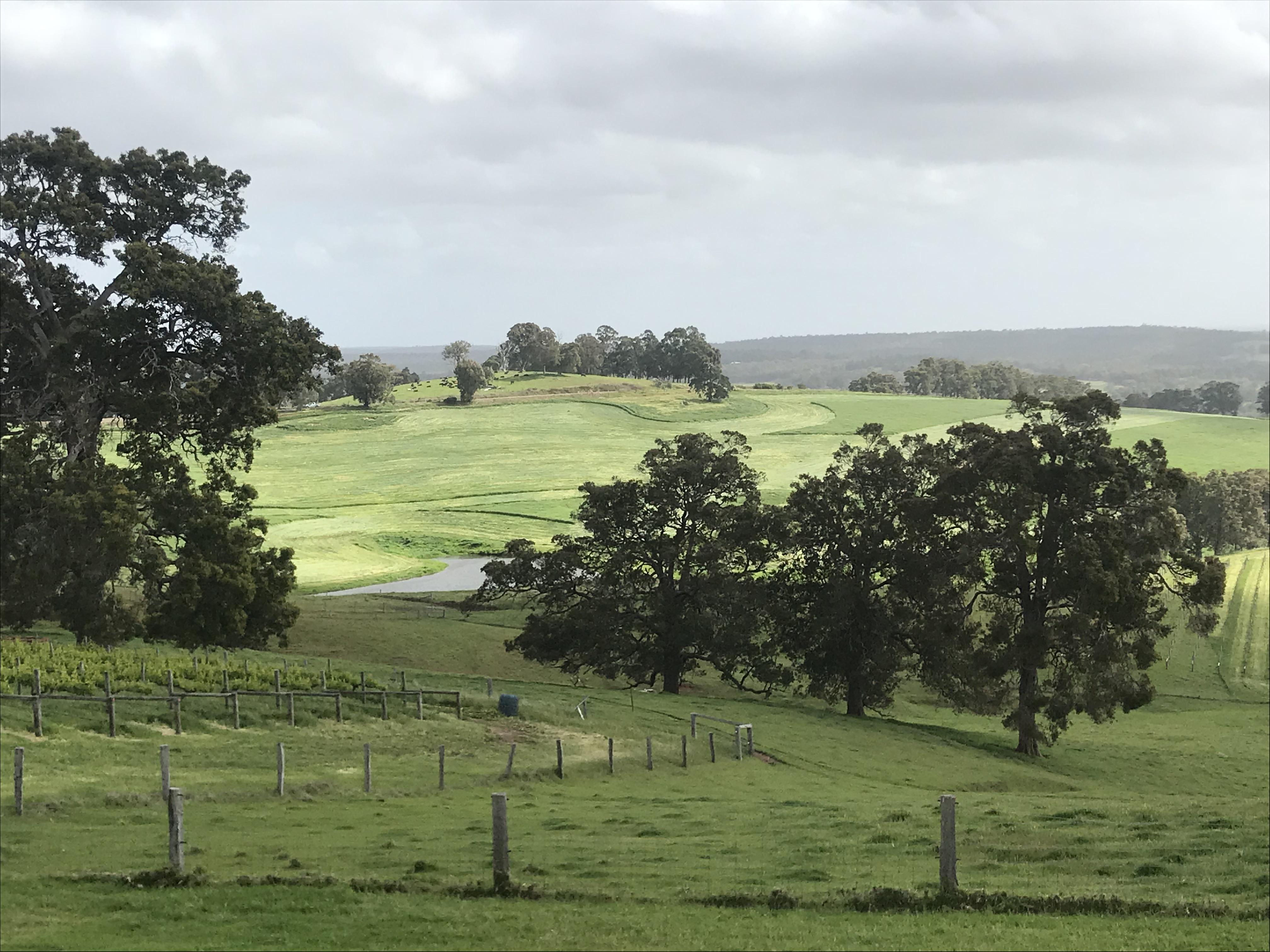 Ferguson Valley, Western Australia r/satisfyinggrass