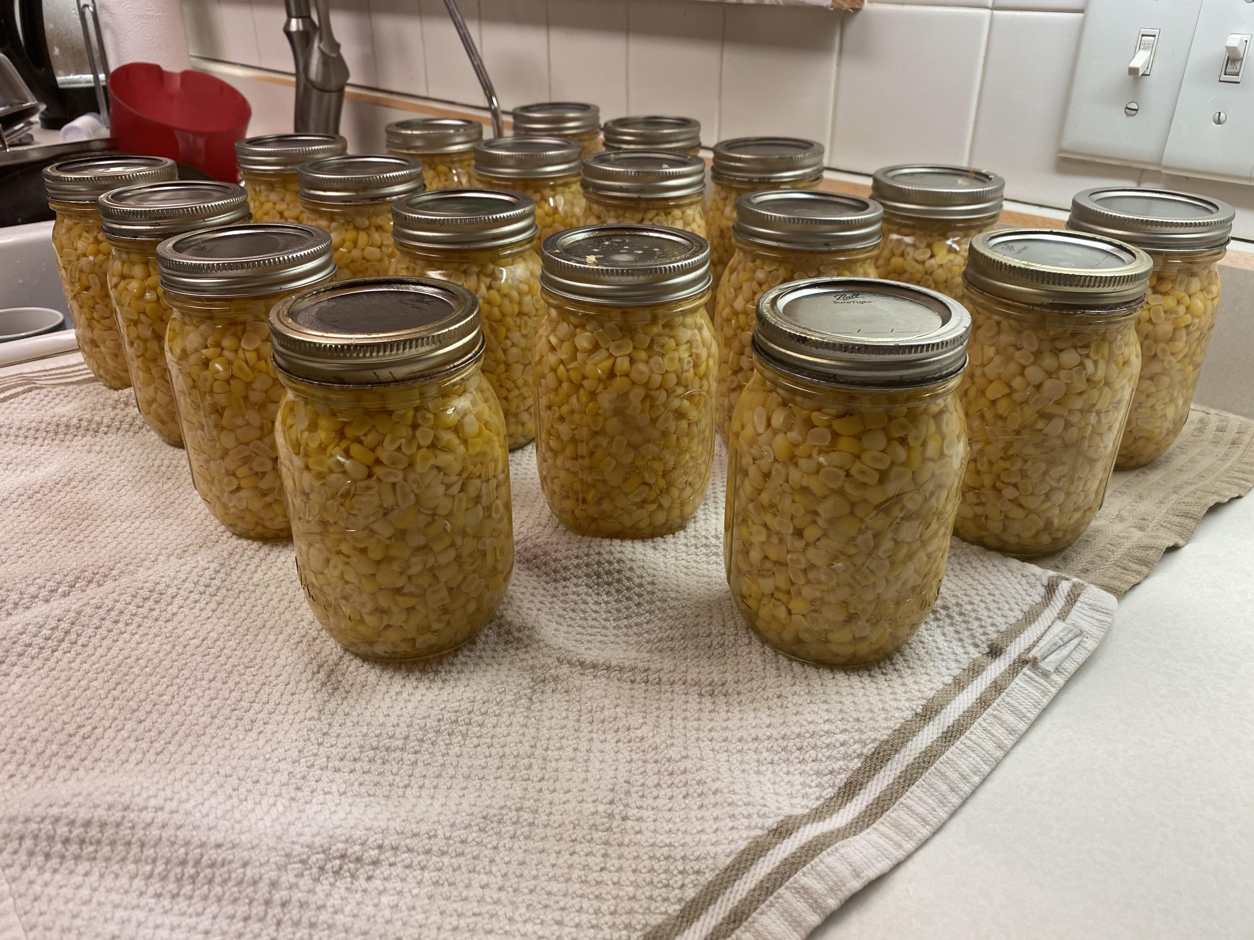 4 dozen ears turned into 20 jars!! Bottom fell out of one, so 19 for keeps ) r/Canning
