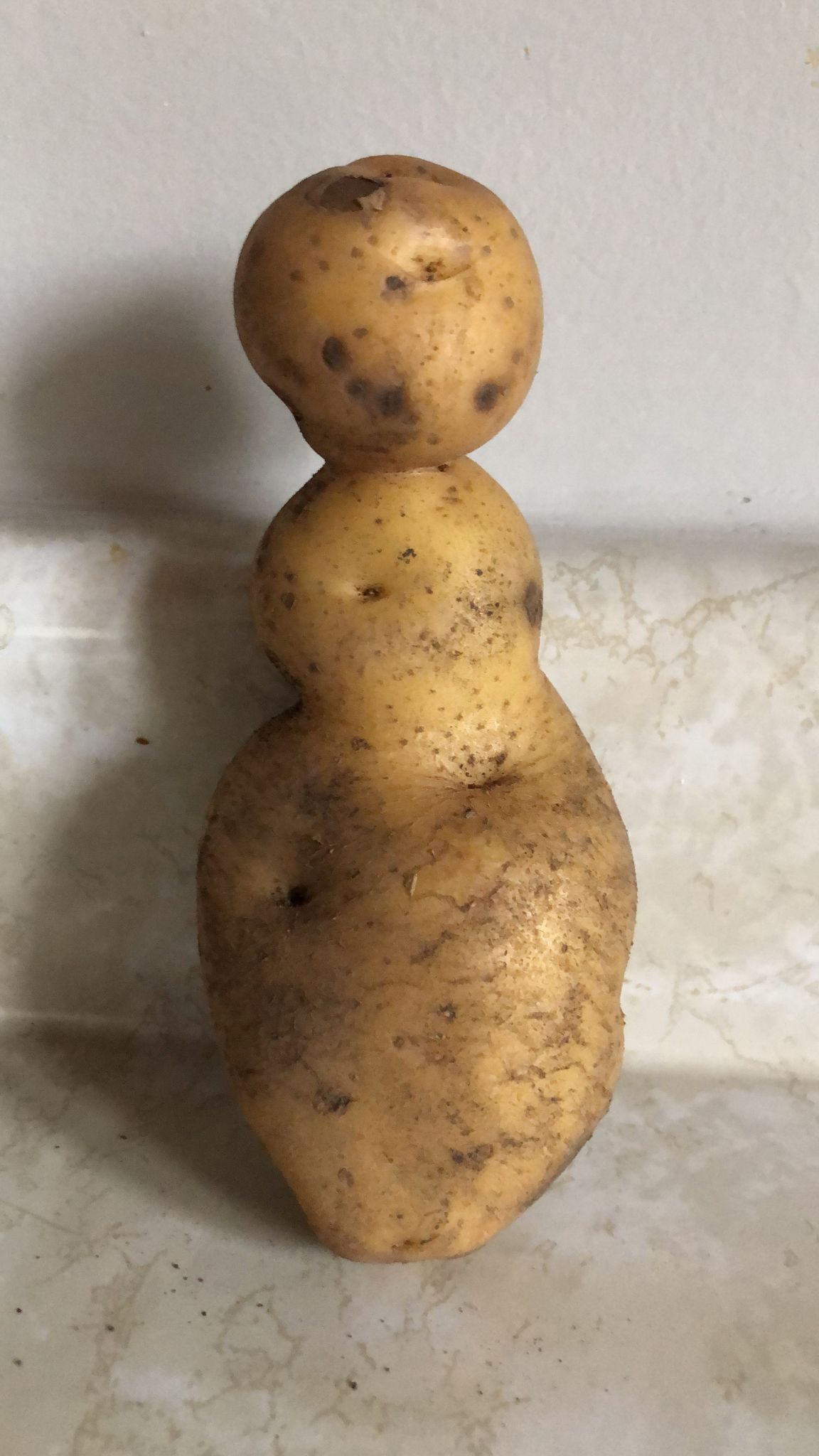 The shape of this potato dug out of my Dad's garden. I swear the dirt there is radioactive. r