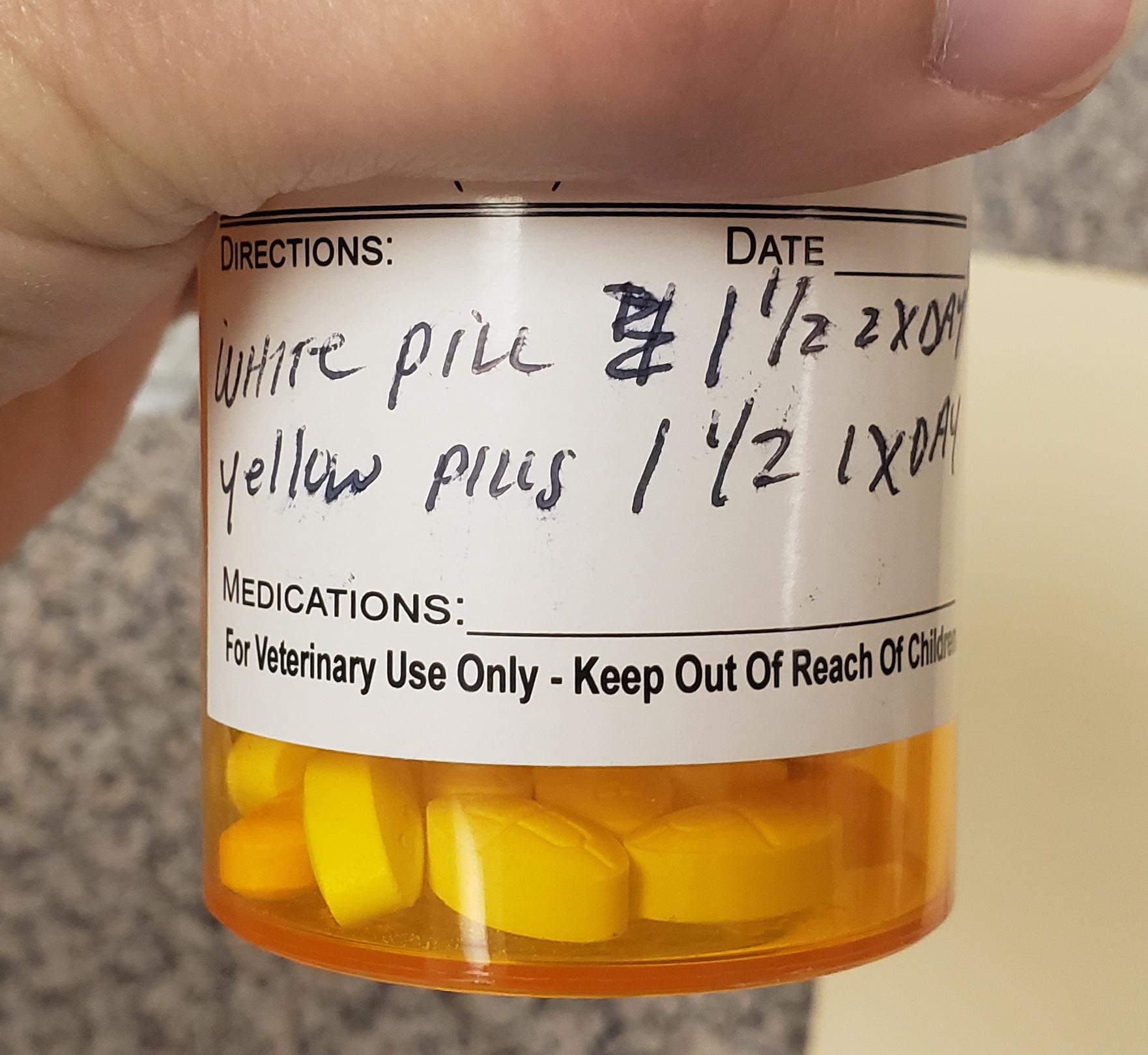 When the client says their vet gave their dog the white pills and the