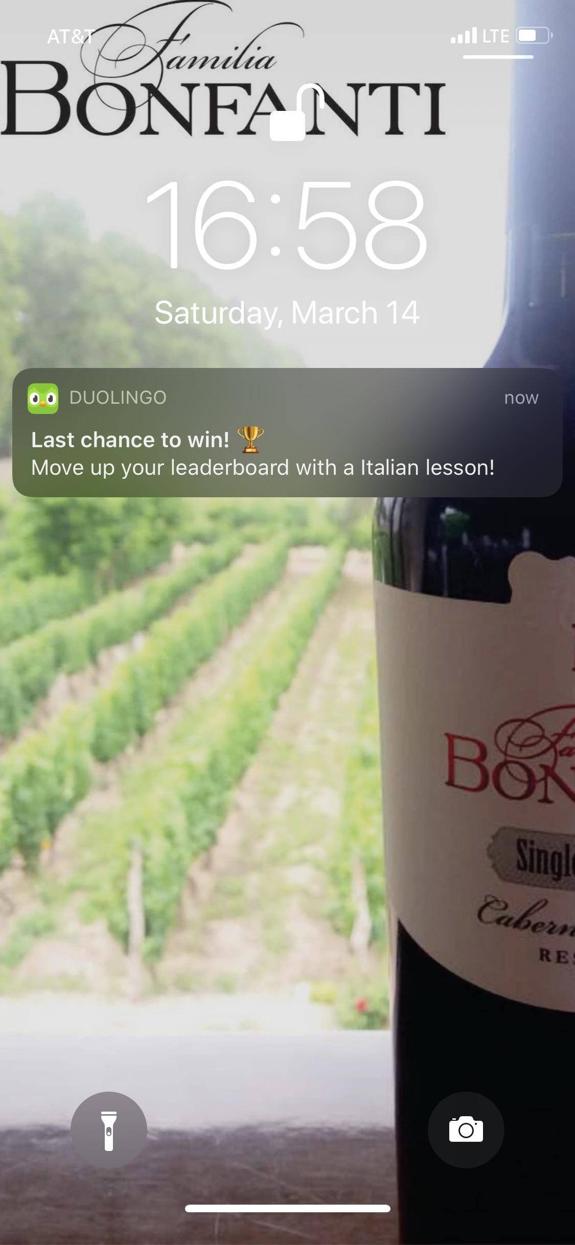 Grammar error in Duolingo notification? “a” r/duolingo