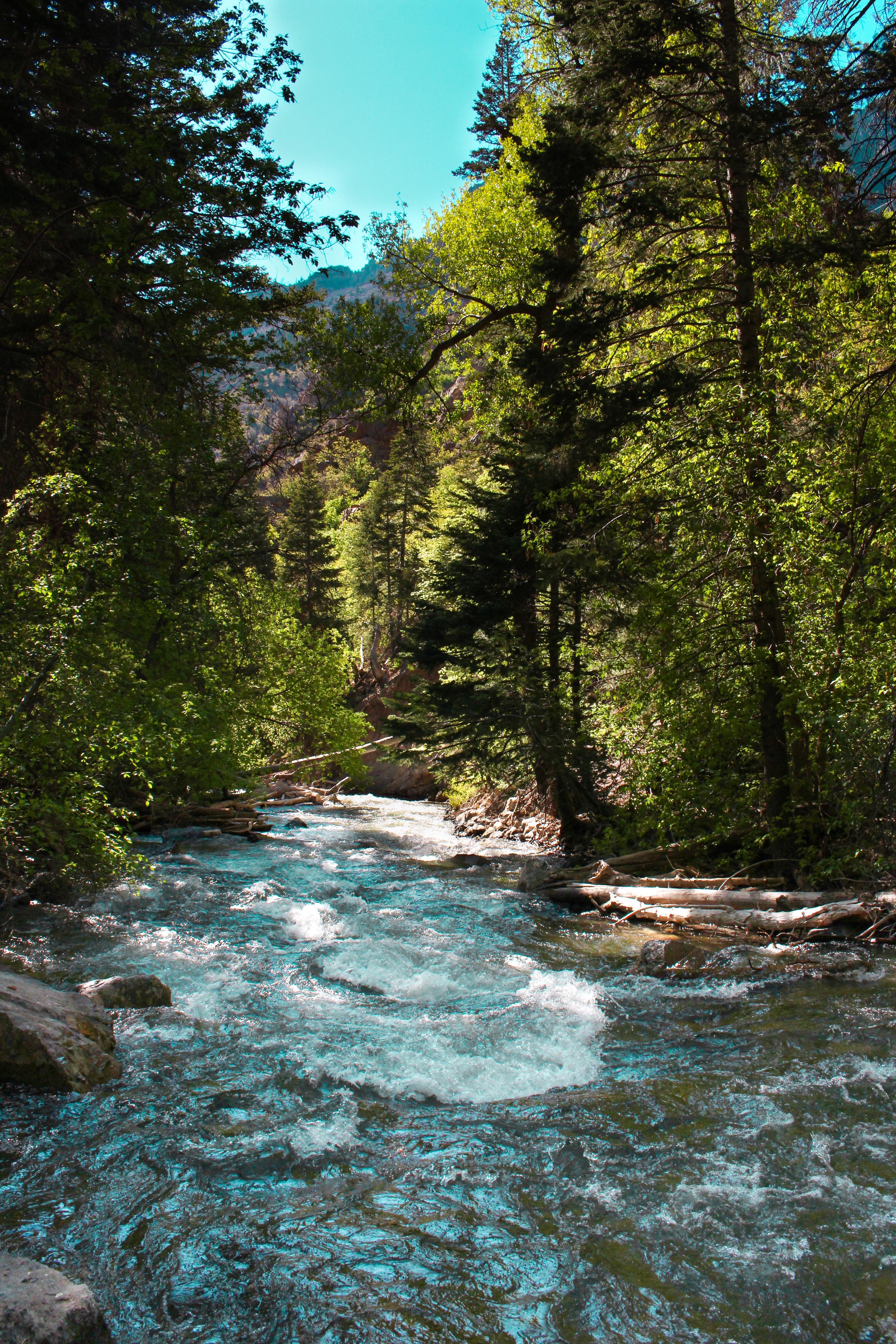 Expose Nature American Fork Canyon, UT, USA [OC] 5184x3456