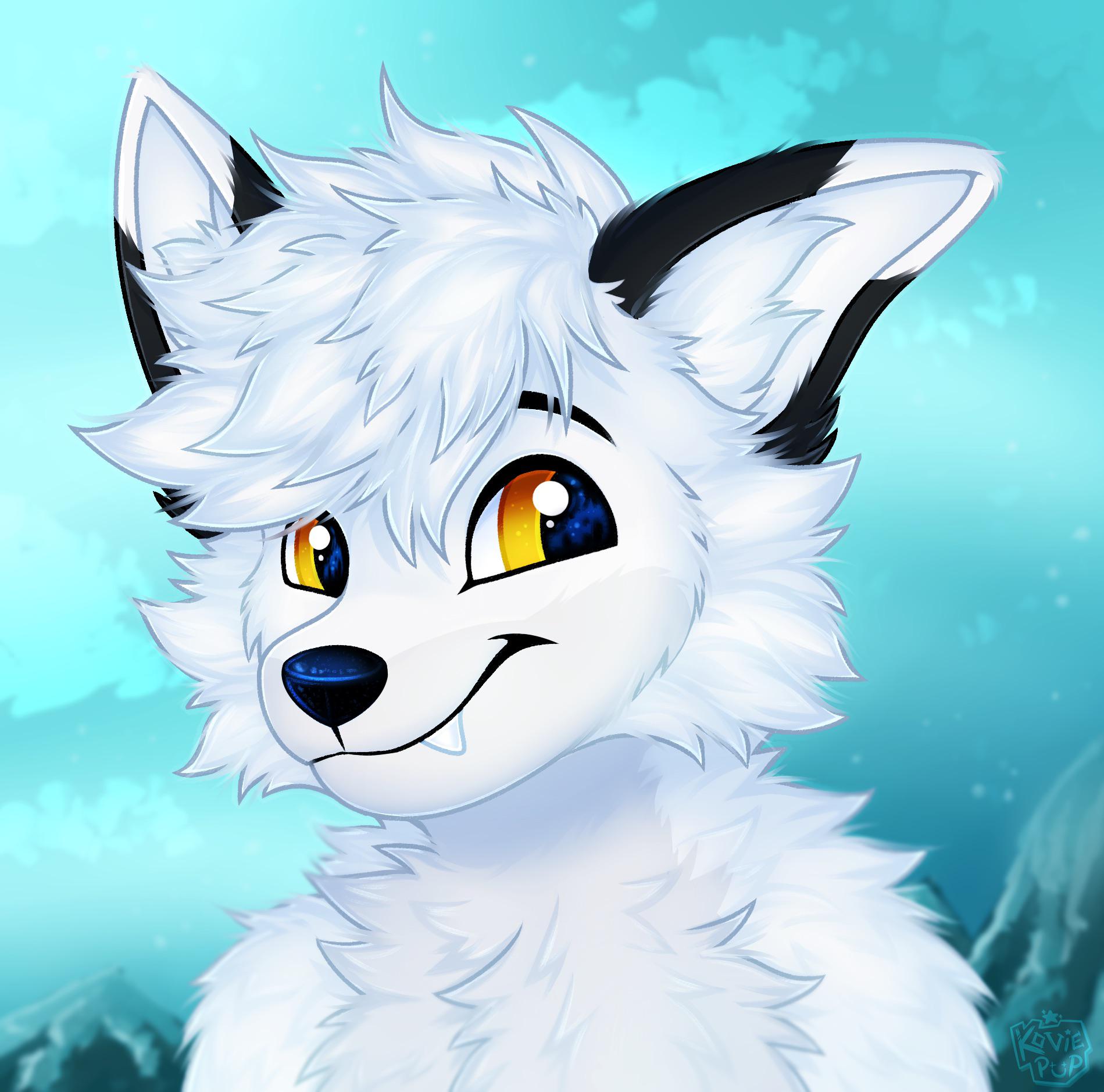 Fluffy White Cloudfox ☁️ (art me, KoviePup) r/furry