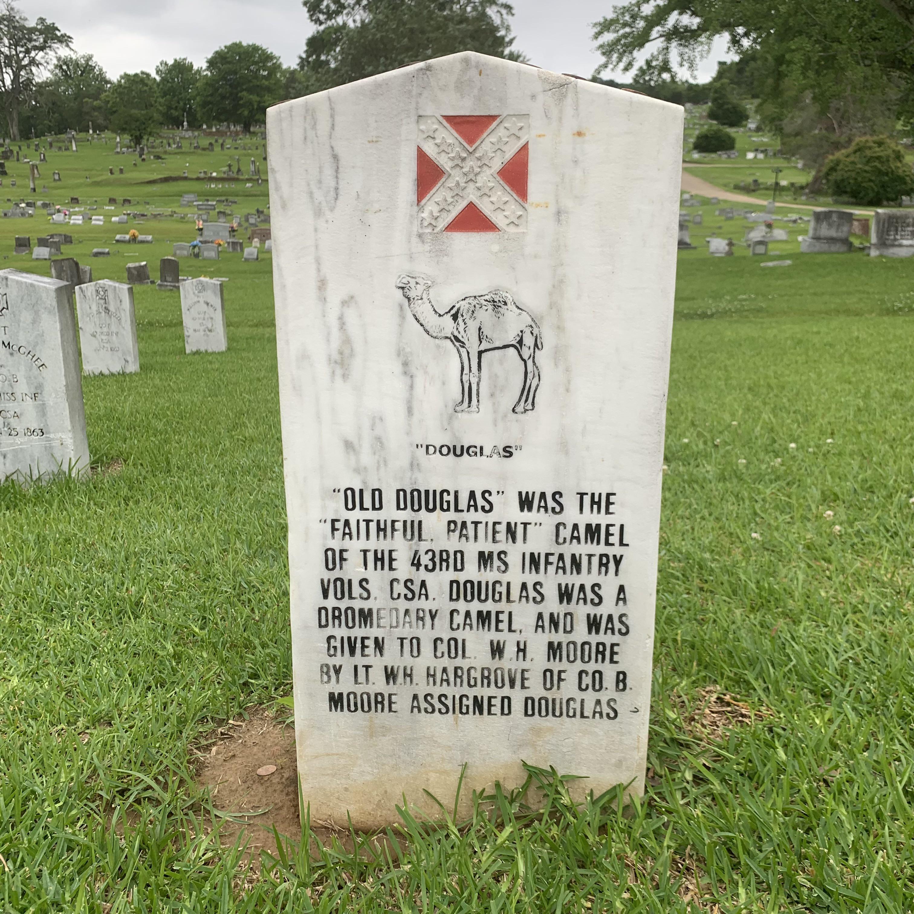 Cedar Hill Cemetery Vicksburg, MS r/CemeteryPorn