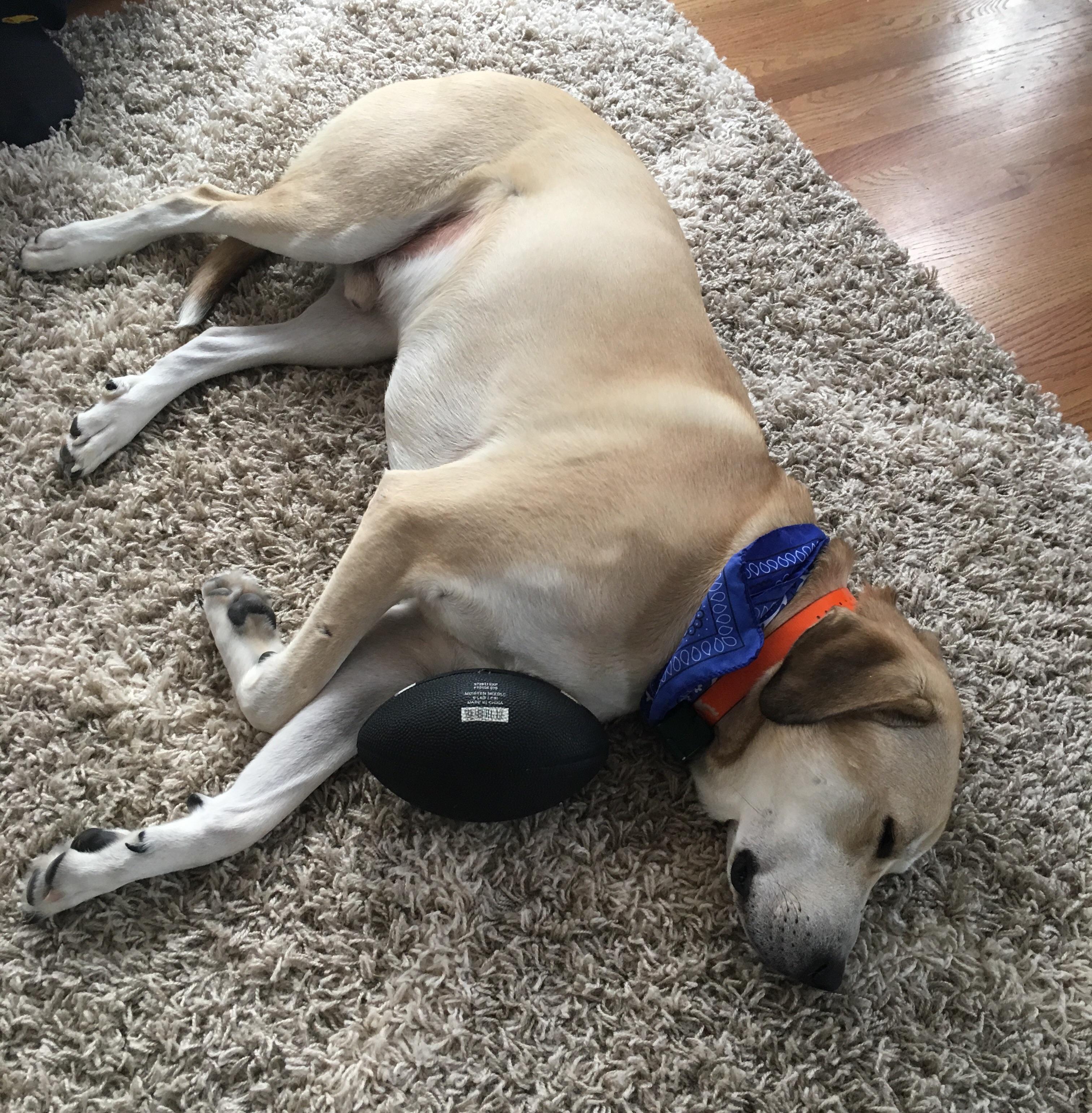 A year ago he was being used for target practice by some Scumbag in