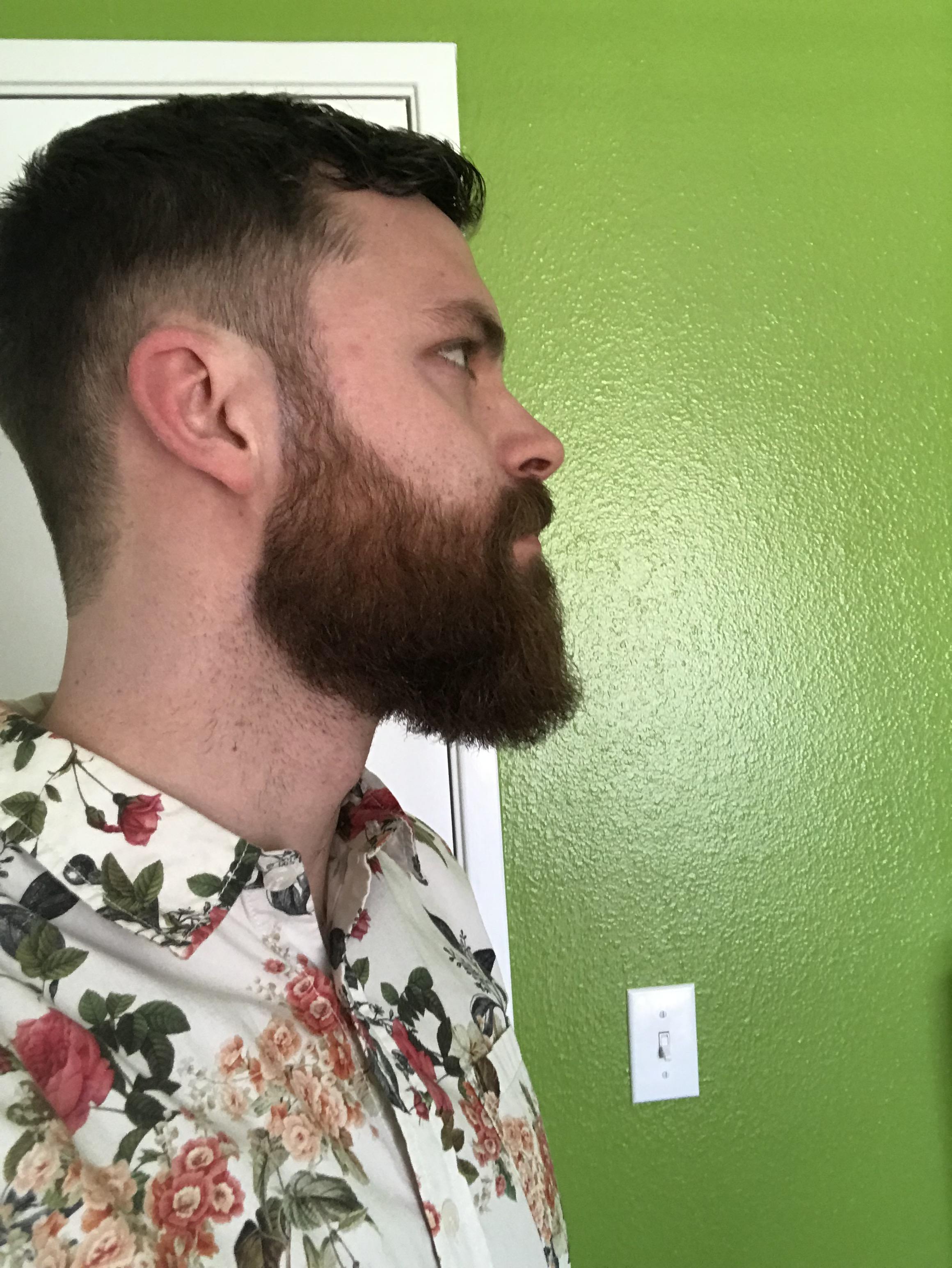 First professional trim! r/beards