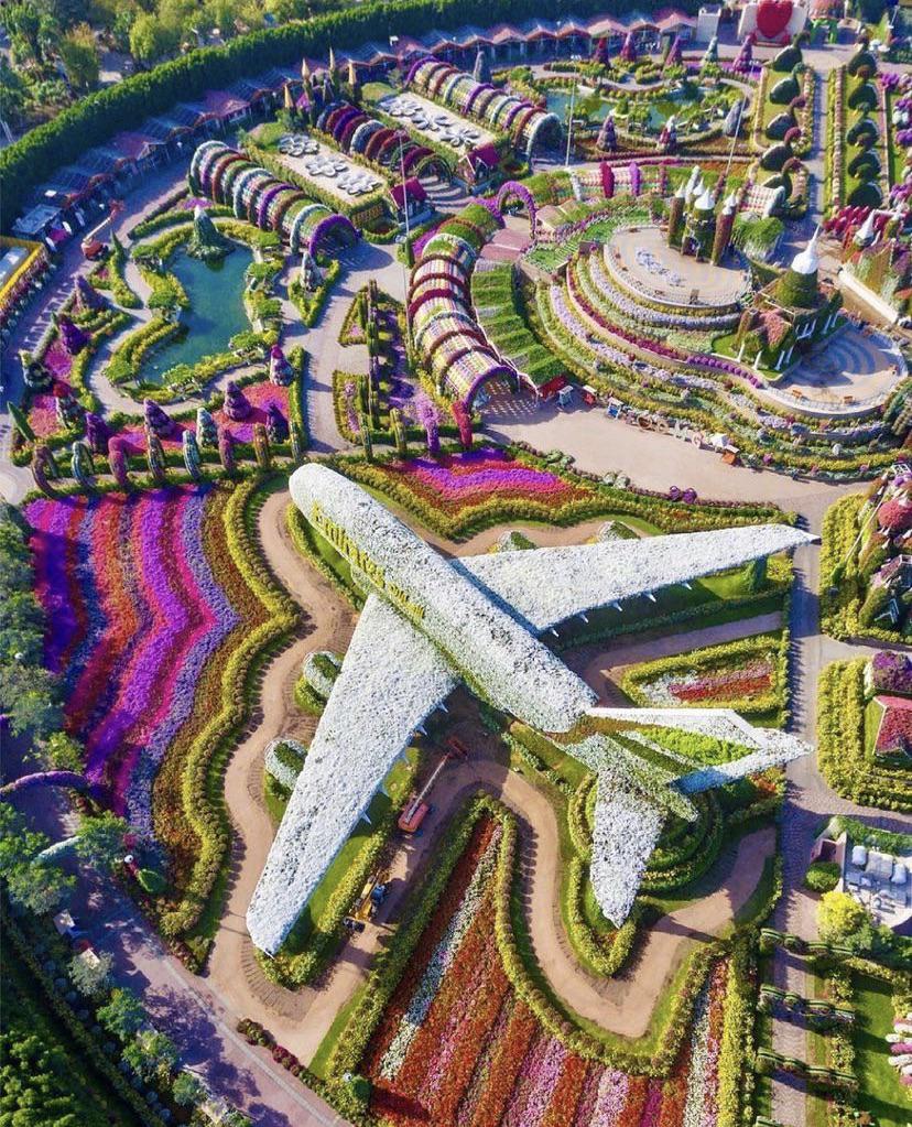 Aerial shot of the Dubai Miracle Garden home to over 50 million flowers
