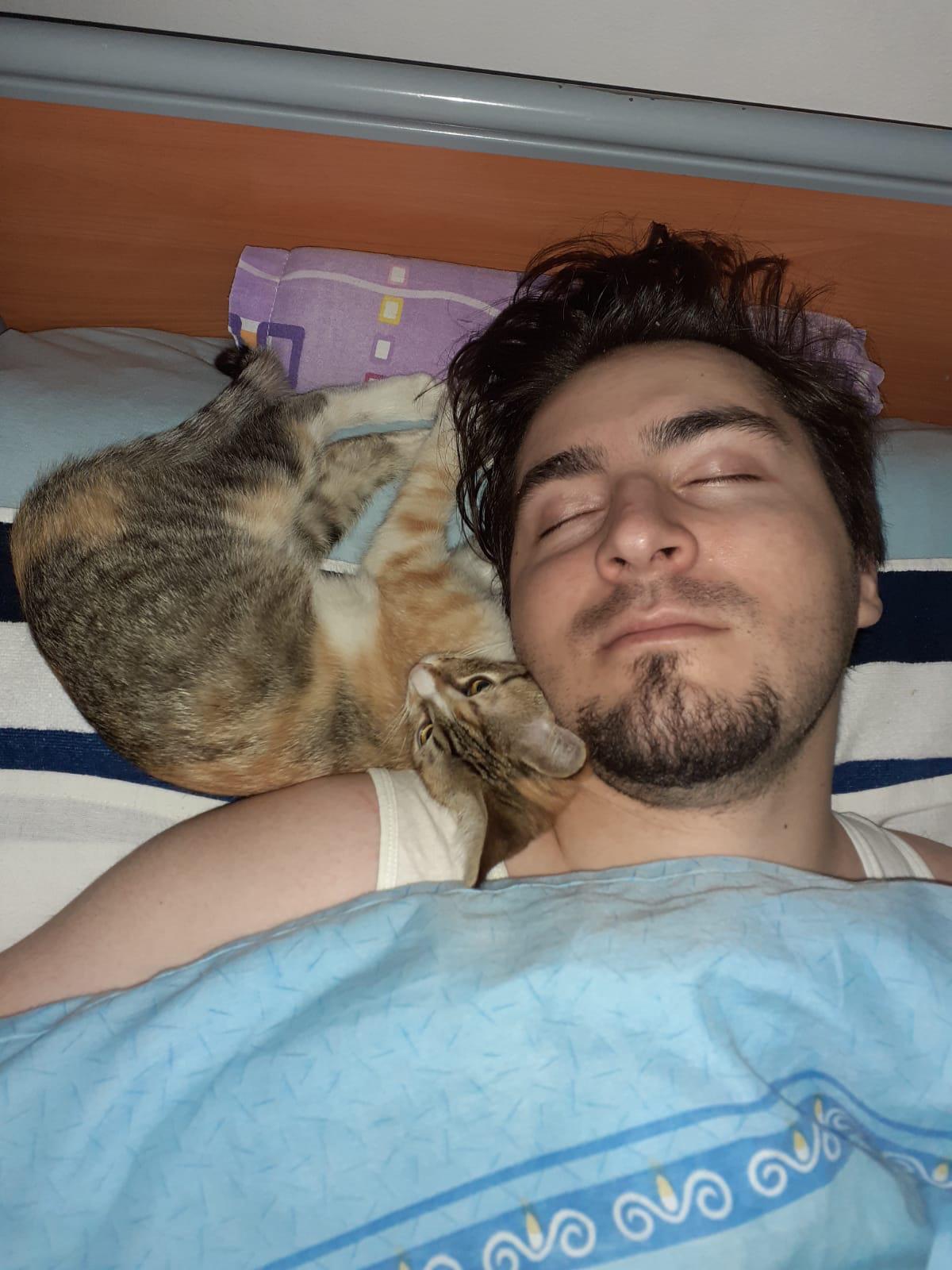 The most relaxing alarm clock r/aww