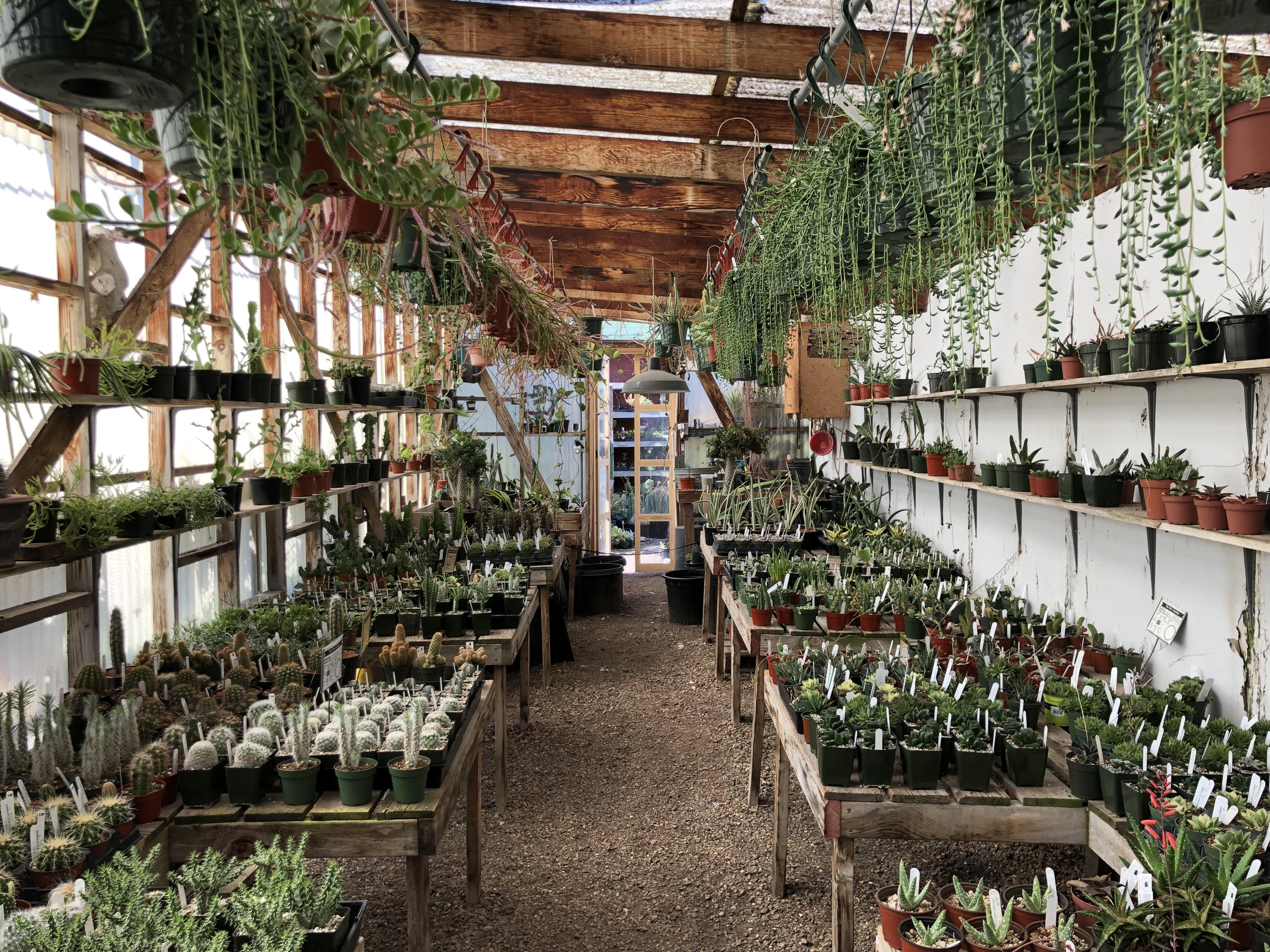 405 best Berkeley CA images on Pholder Vegan, Amateur Room Porn and