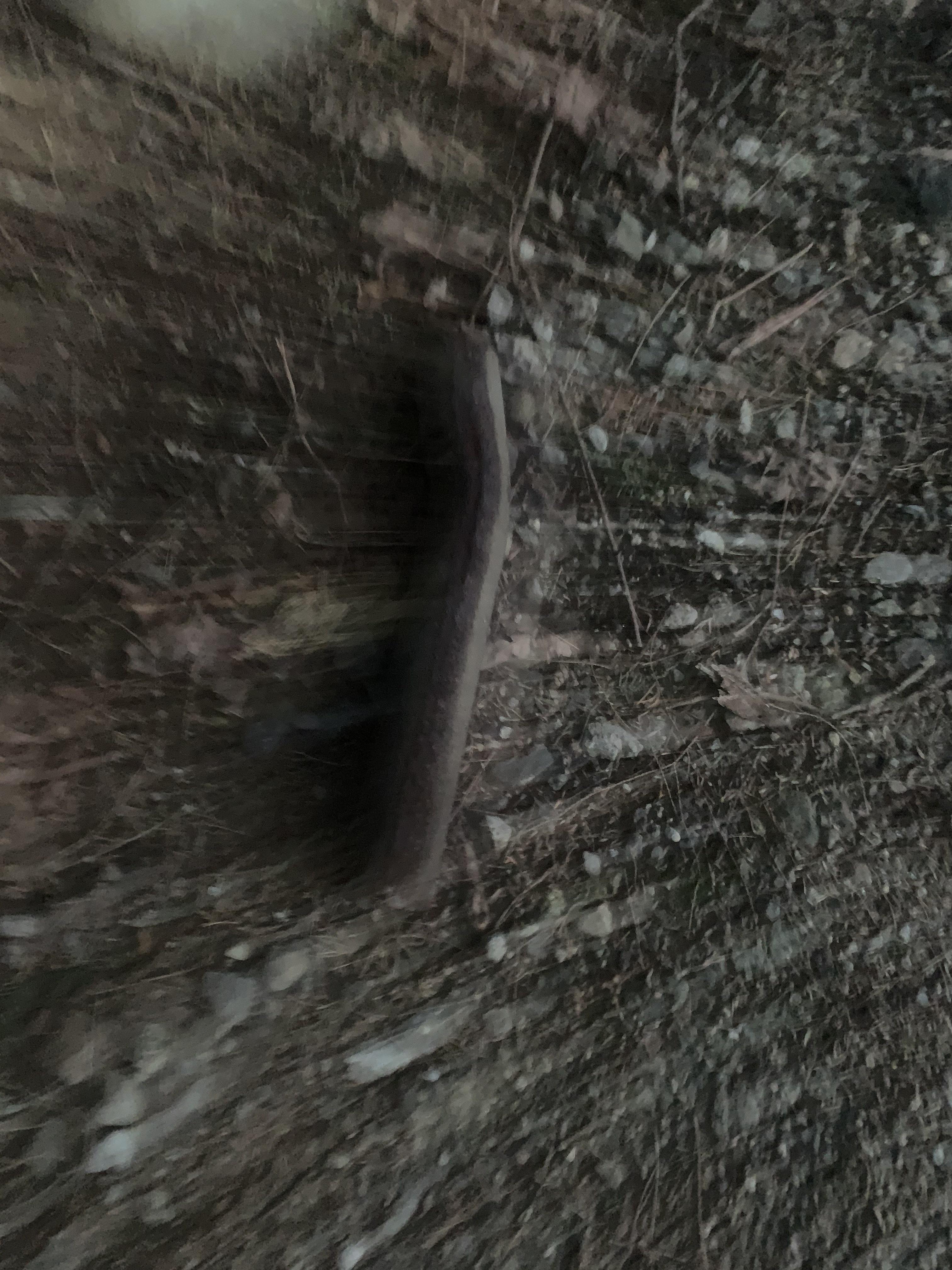 The muffler of my car apparently fell off when I got in from work last