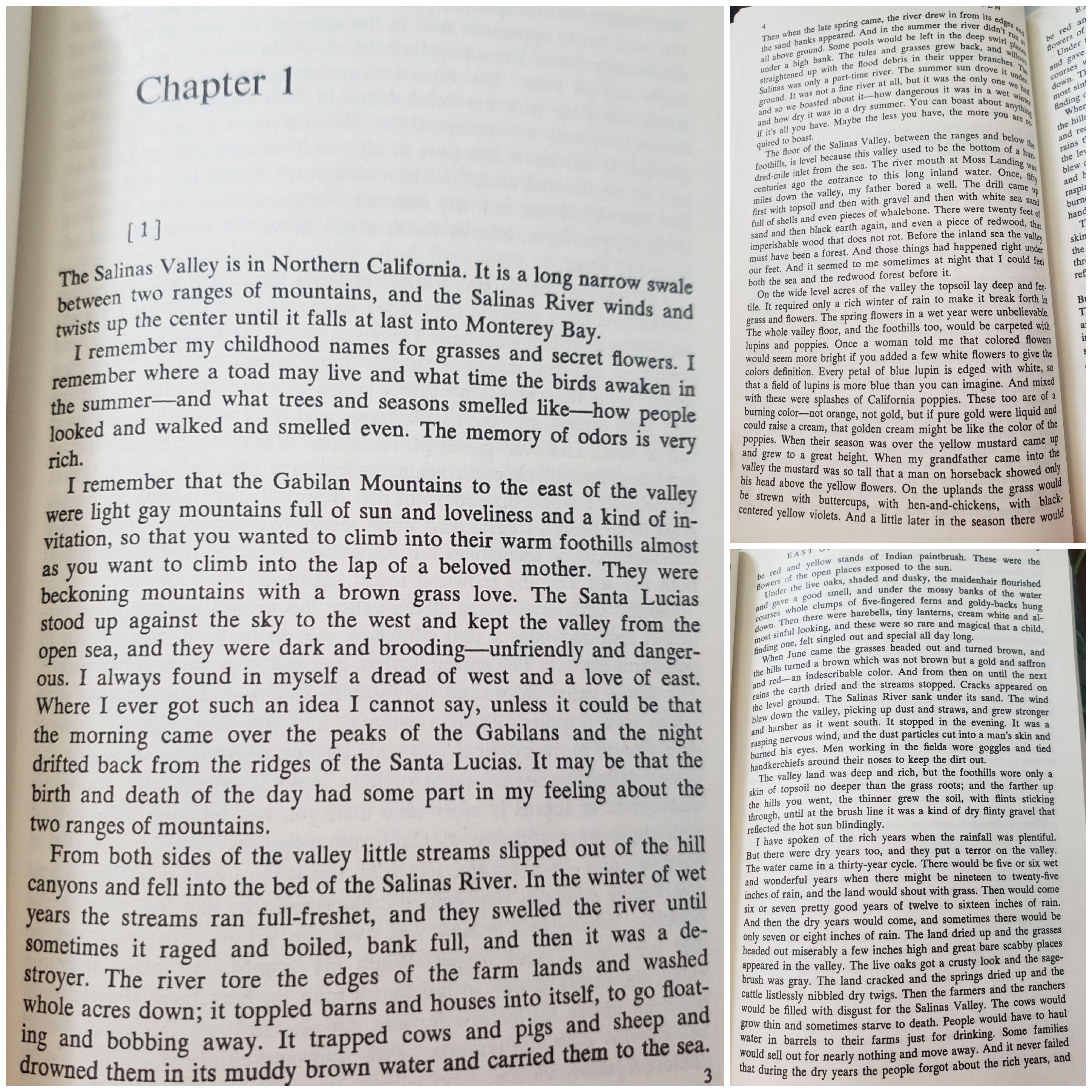 I love the first chapter of East of Eden r/elpasoderobles