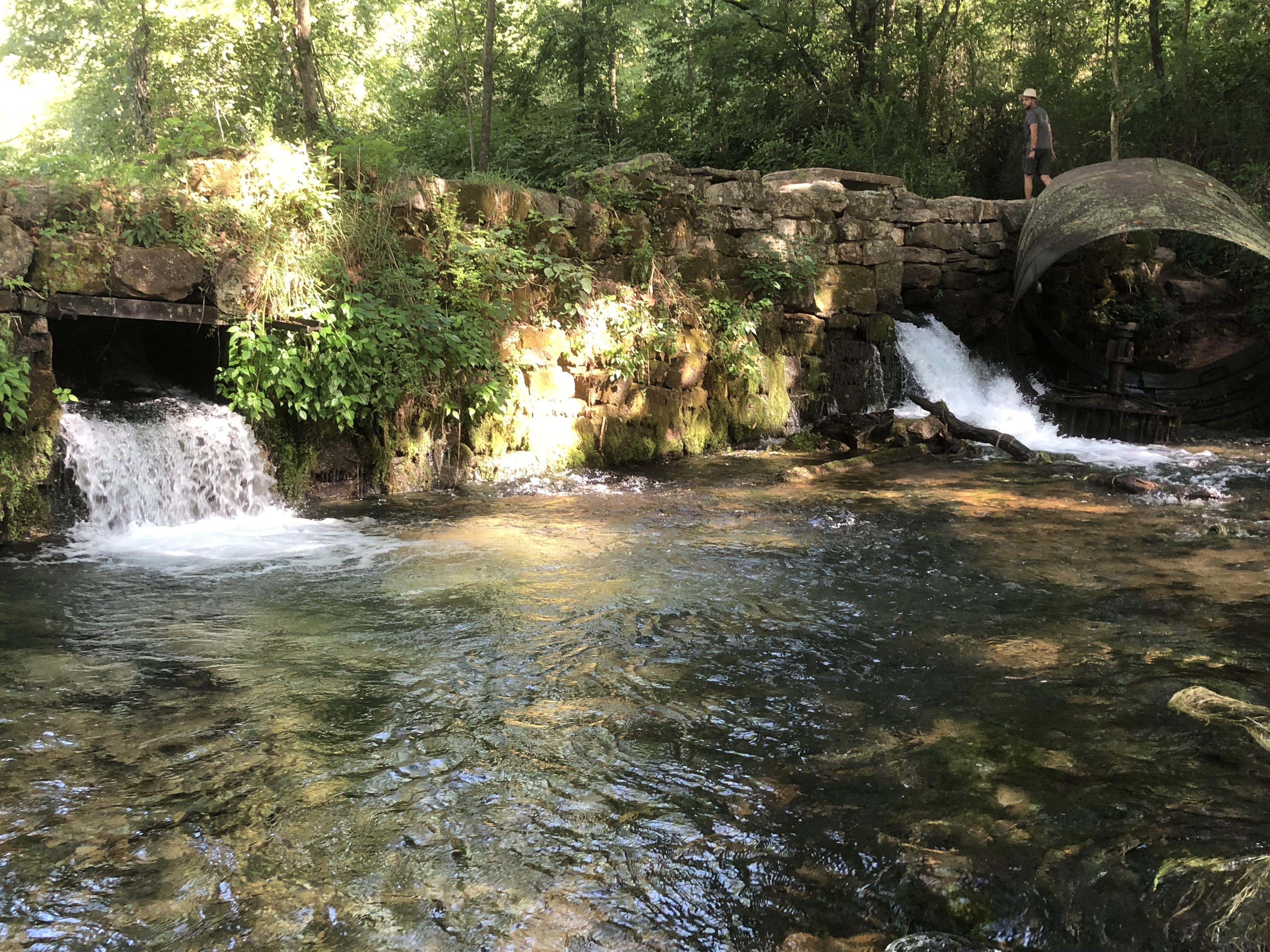 Camping near a natural spring on the Eleven Point River in southern