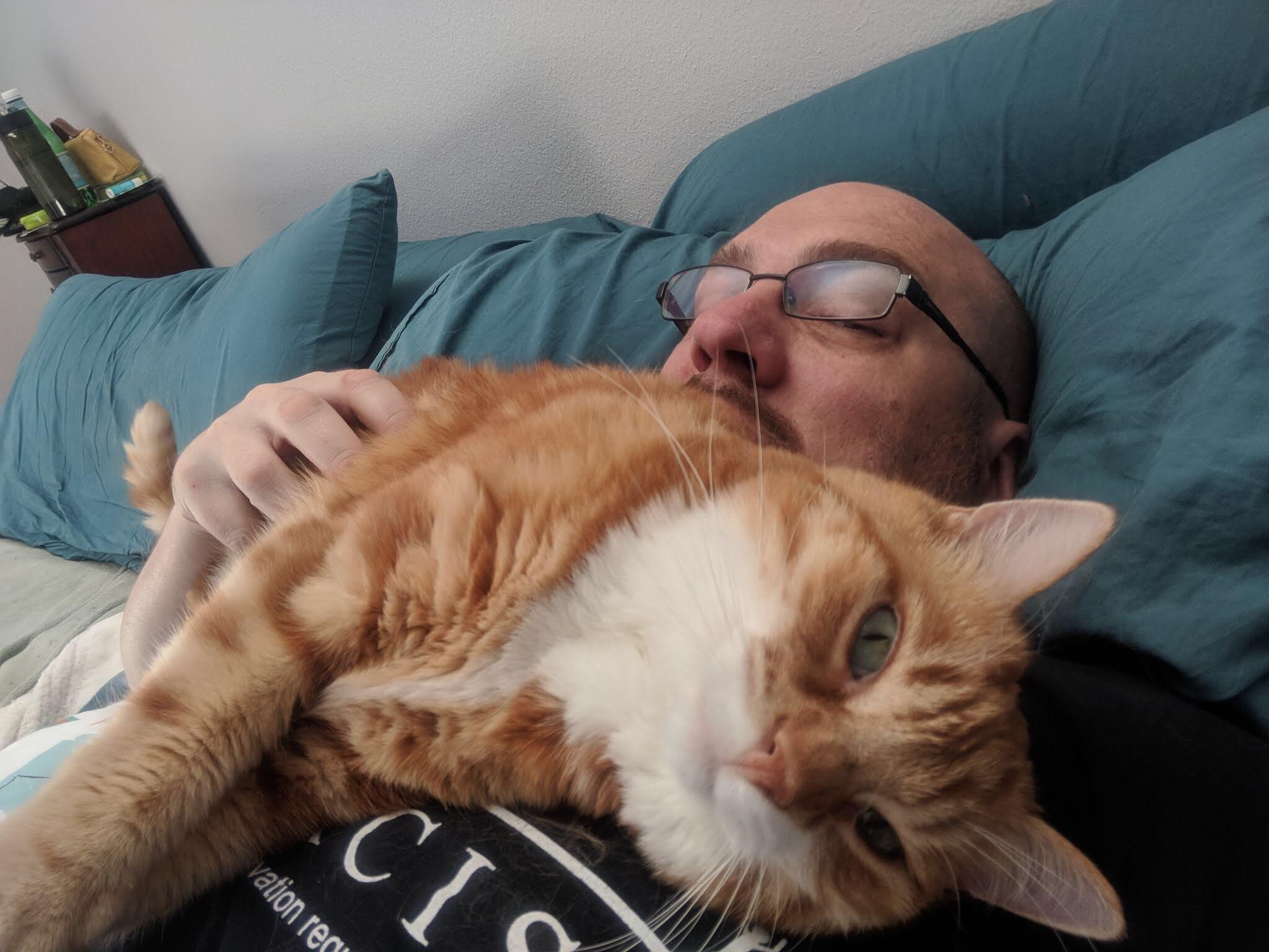 Spot loves my husband more than he loves me 😭 r/gingerkitty