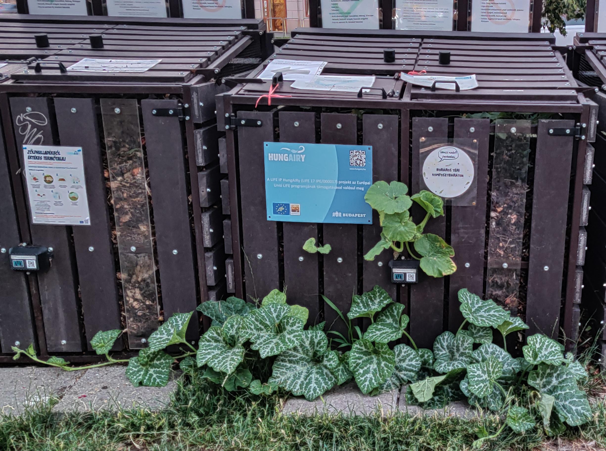 All hail the mighty bin squash