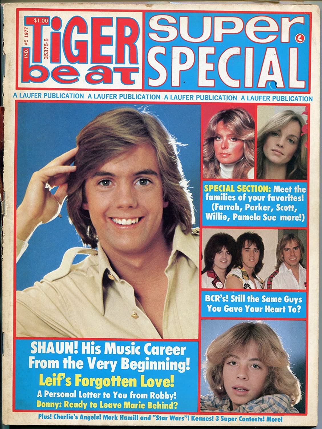 My cousin kept this copy of Tiger Beat with Shaun Cassidy and Leif Garrett sitting in her room