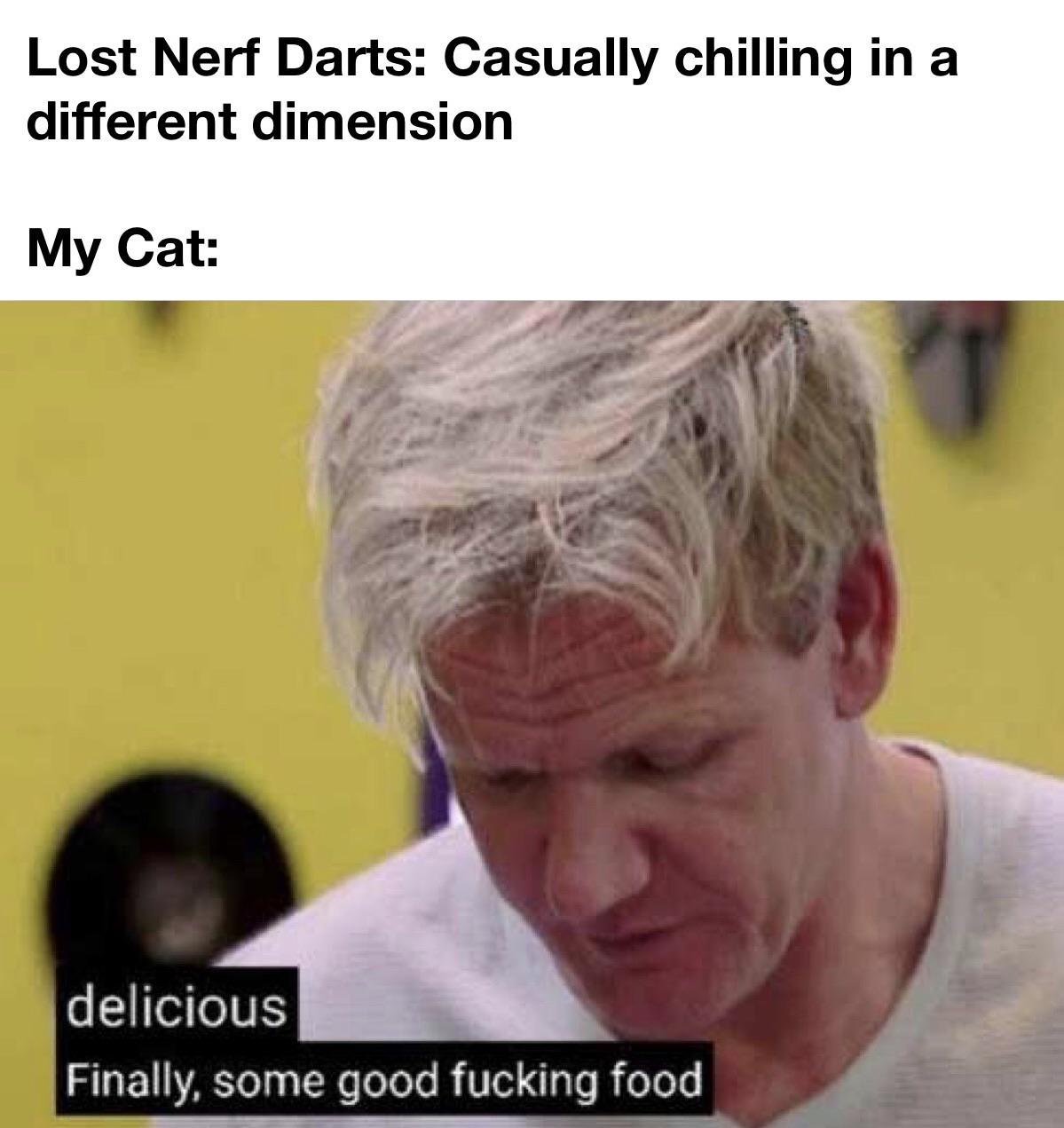 Nerf Darts are a cat delicacy r/dankmemes