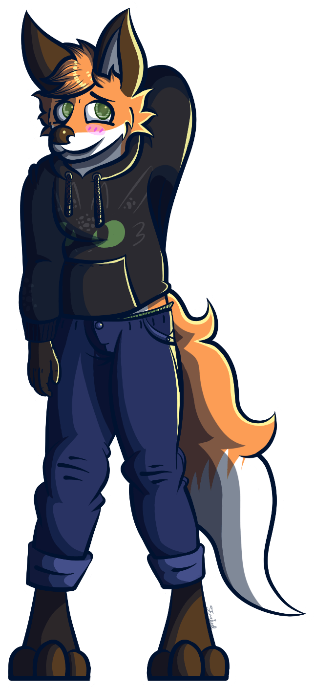 A new hoodie r/furry