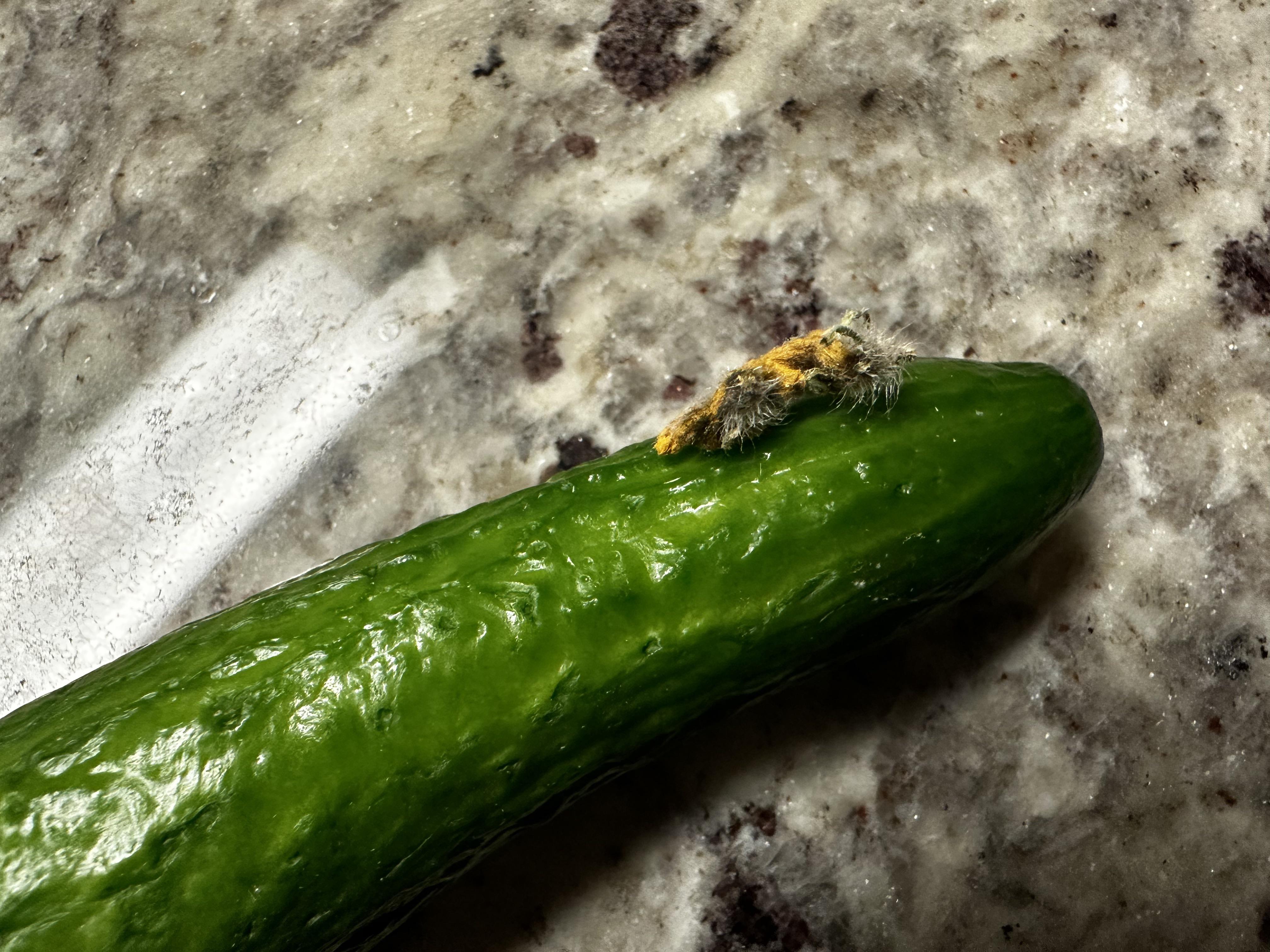 Experts React To The Swaggy Cucumber Leak Truth Or Fiction