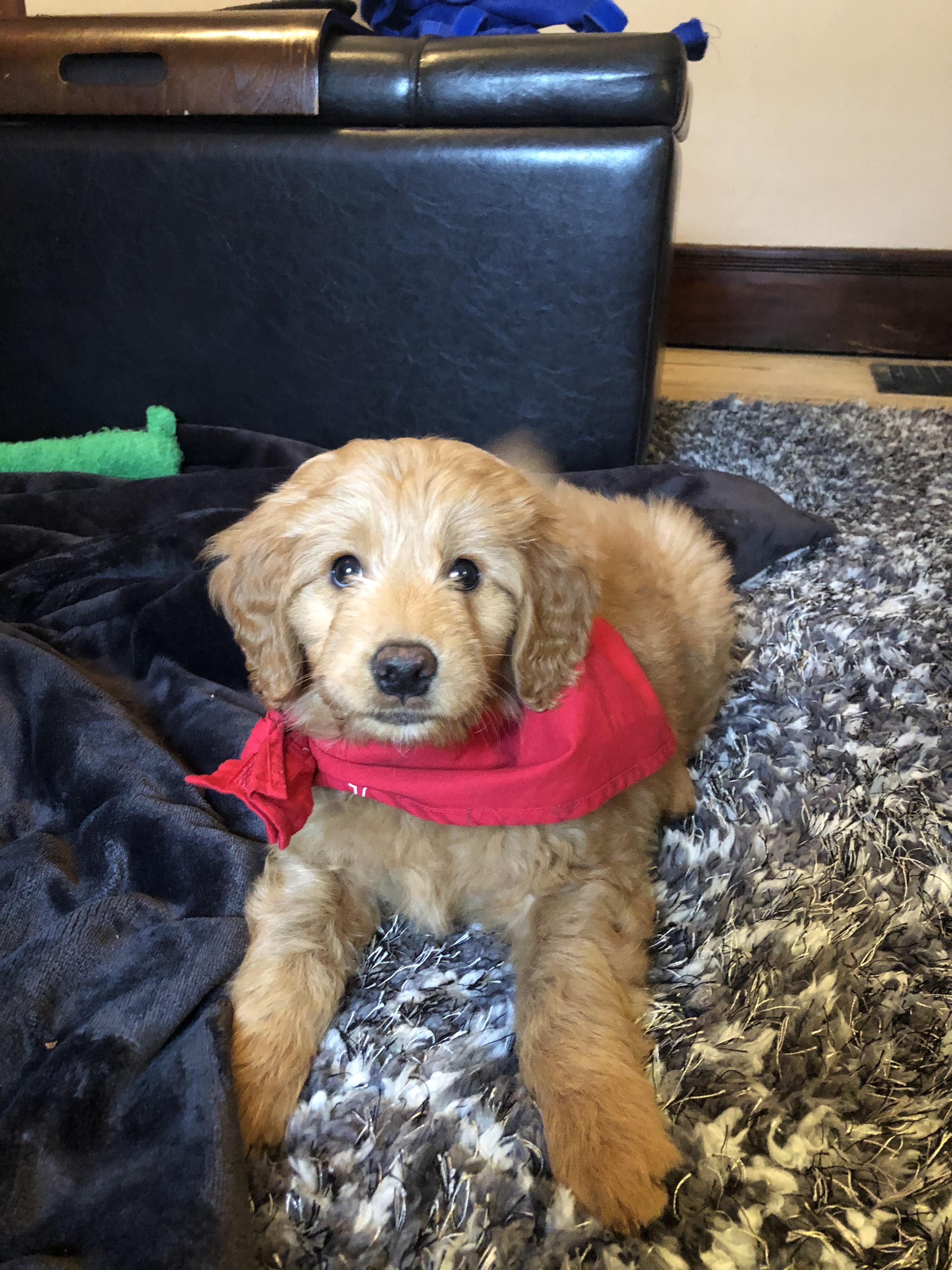 I need tips on how to stop this sweet baby from biting my fingers