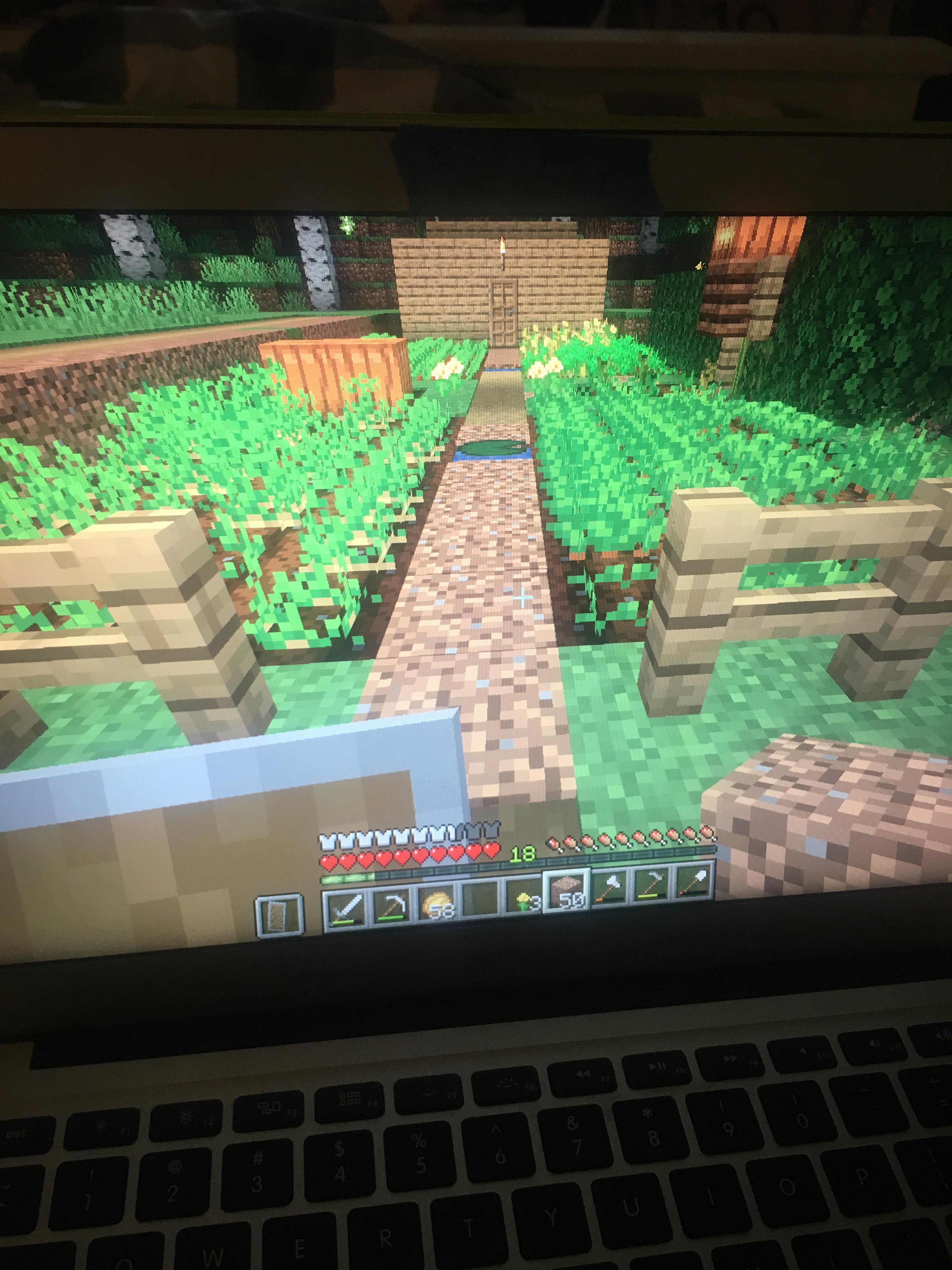 why won’t my grass grow? (bedrock) r/Minecraft