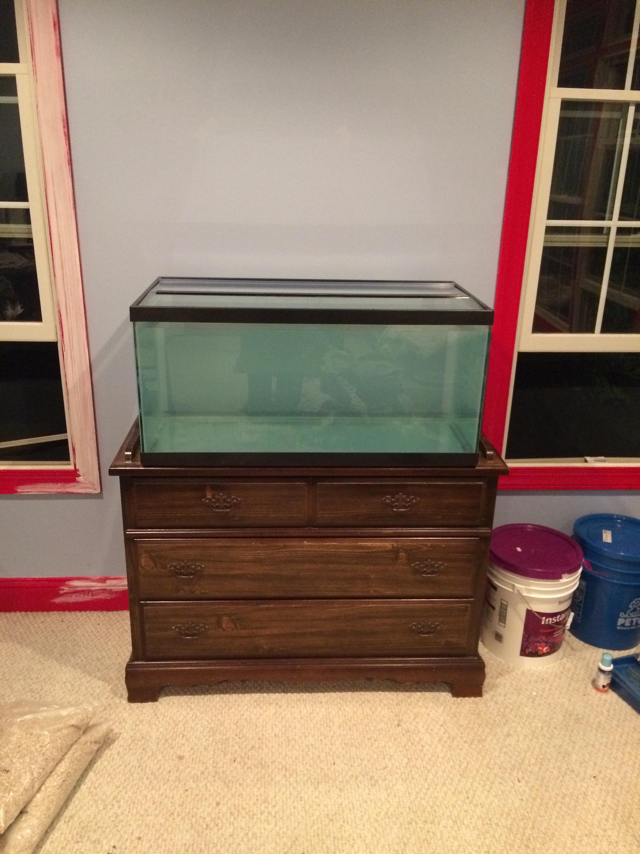 My first tank. 40 gallon breeder. Saltwater. Any tips? r/ReefTank