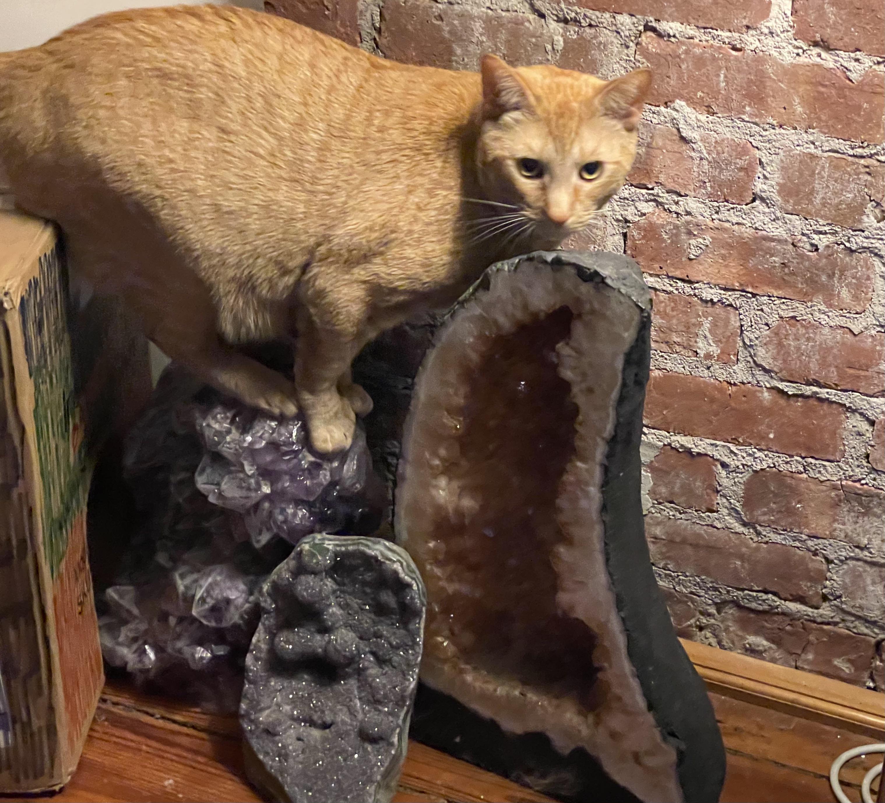 Just cats and crystals r/Crystals