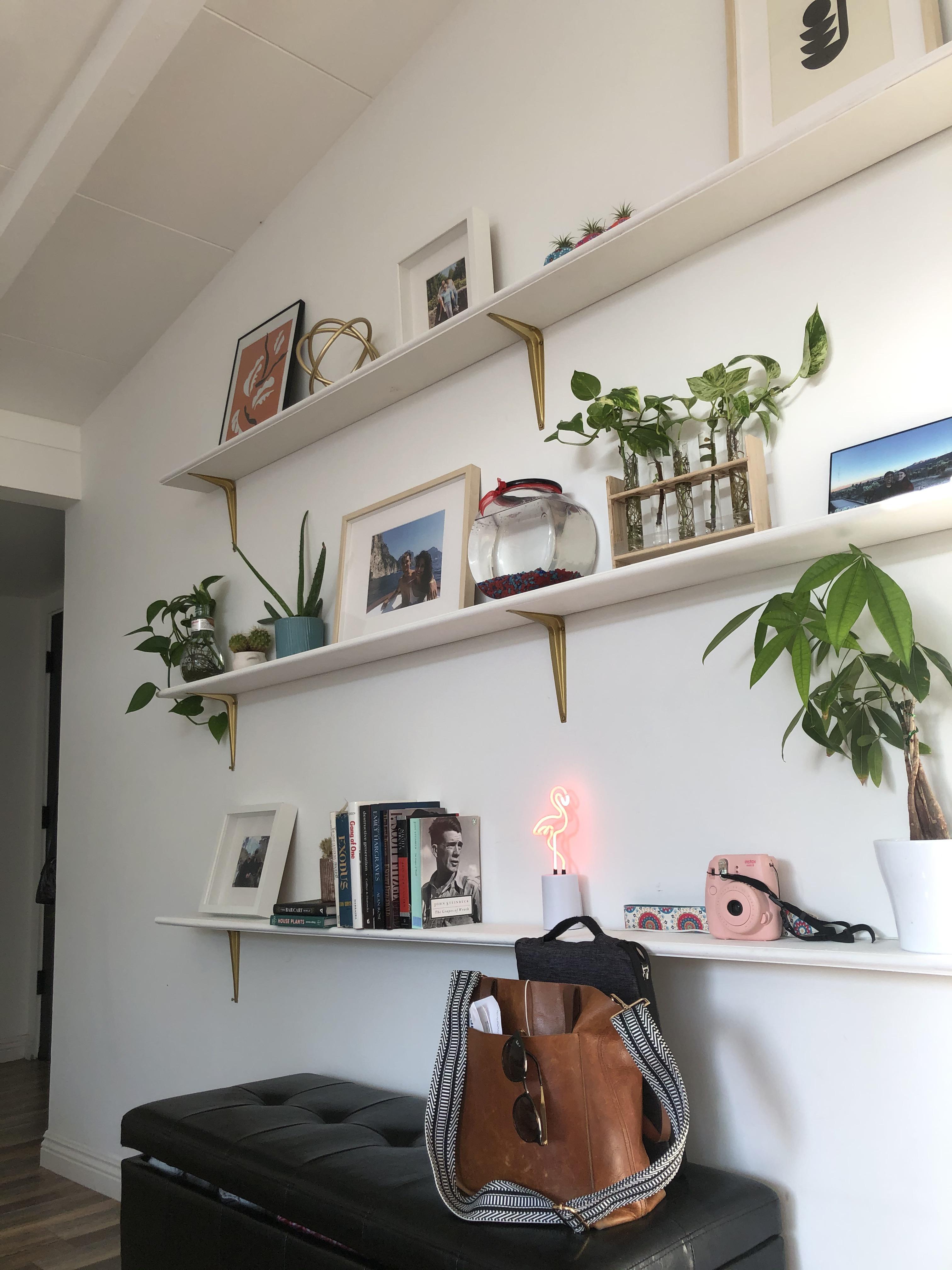 A 20something’s shelves Los Angeles, CA r/femalelivingspace
