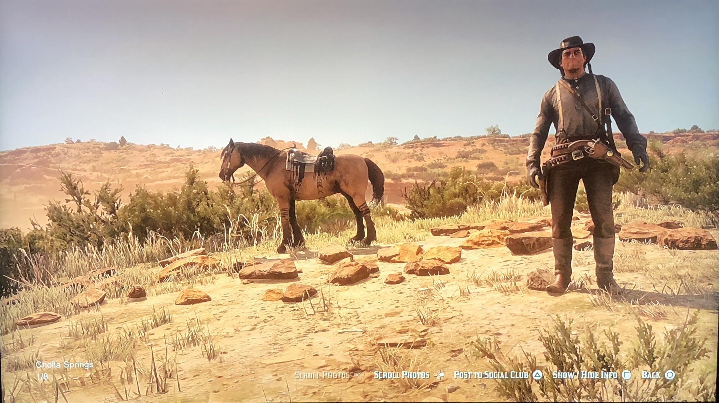 Tiger Striped Mustang r/reddeadredemption2