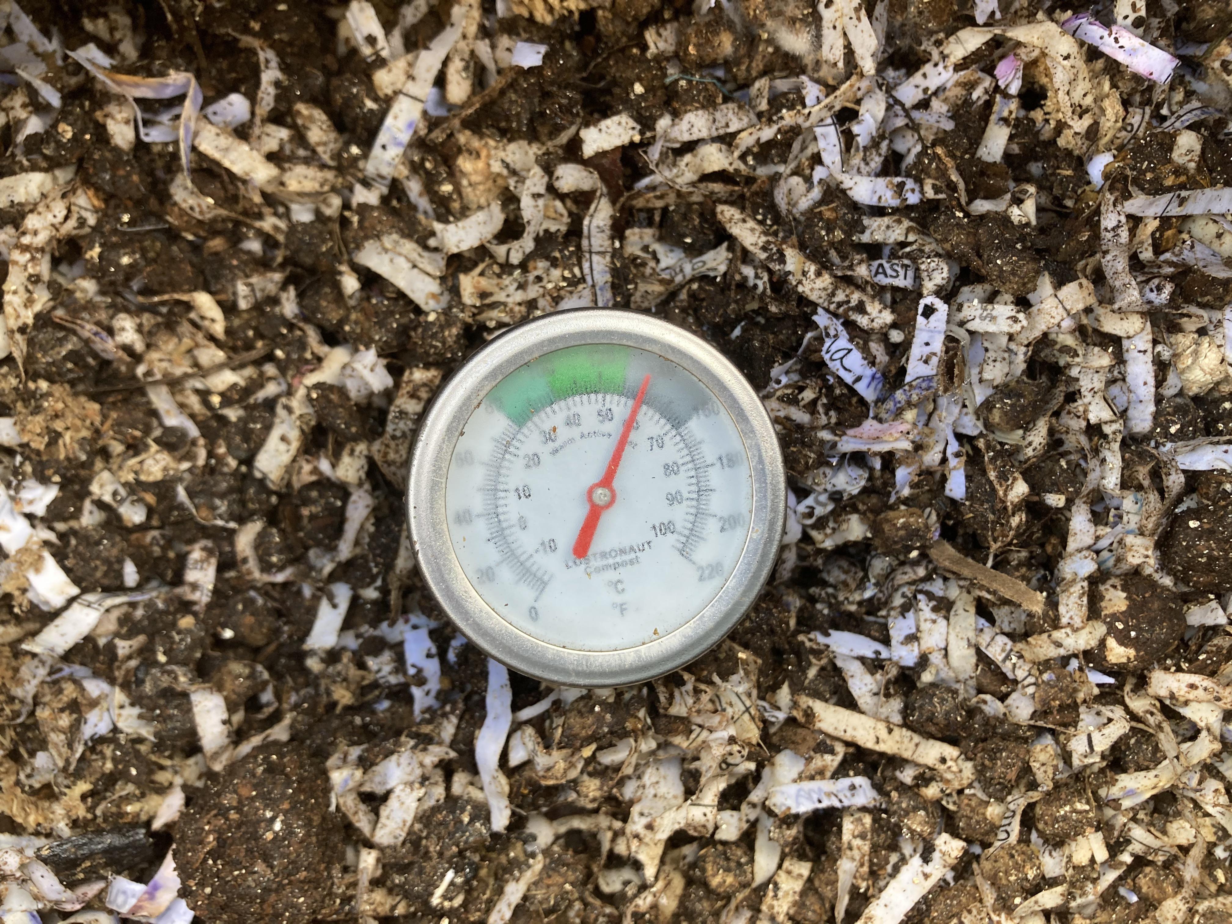 I added about 3lbs of old dry cat food and another 5lbs of pine pellets