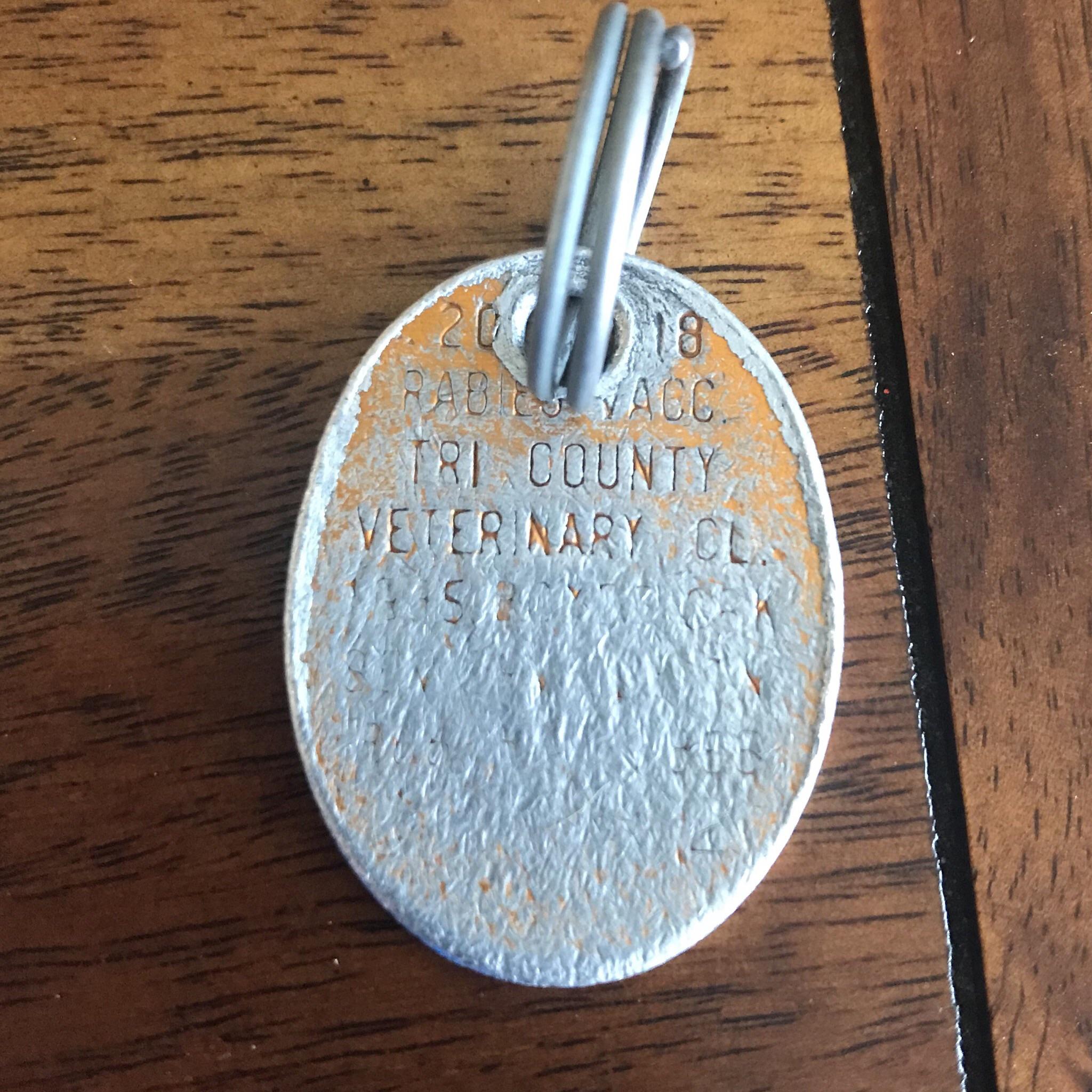 Dog’s rabies tag after a year’s worth of shaking r/Wellworn
