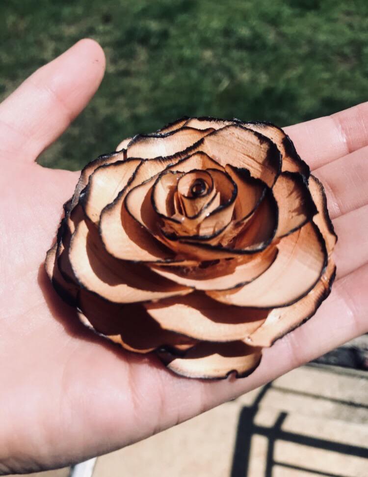 Rose made with wood shavings and burned edges r/woodworking