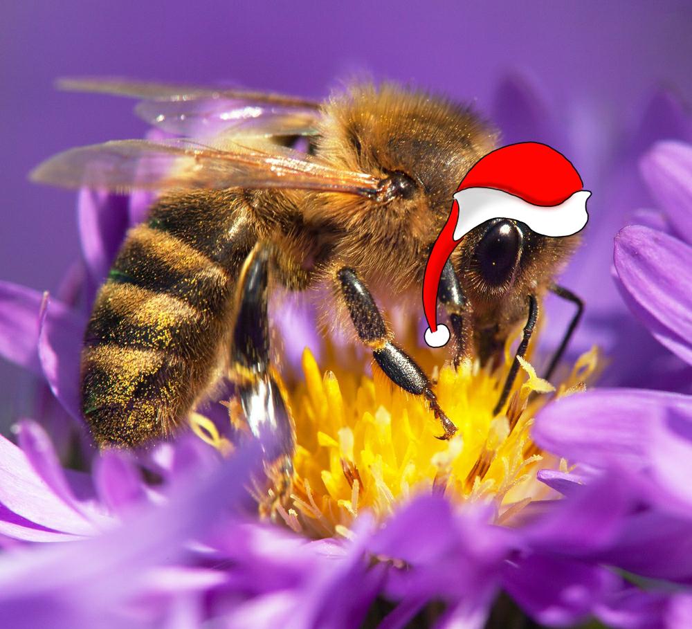Daily Christmas Bee 16 r/RealBeesFakeTopHats