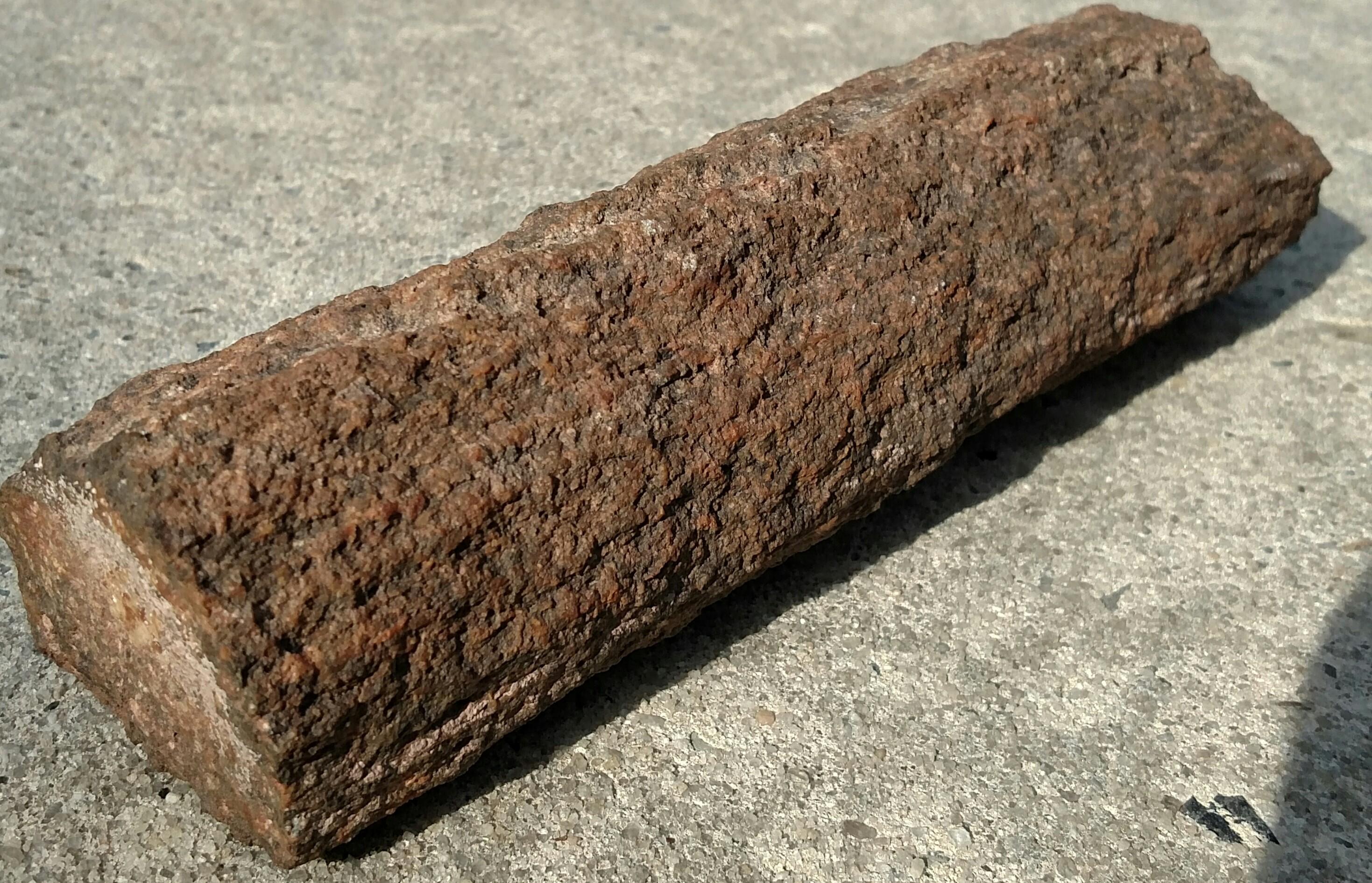 Petrified wood, 2.5 lbs. Found in NW r/rockhounds