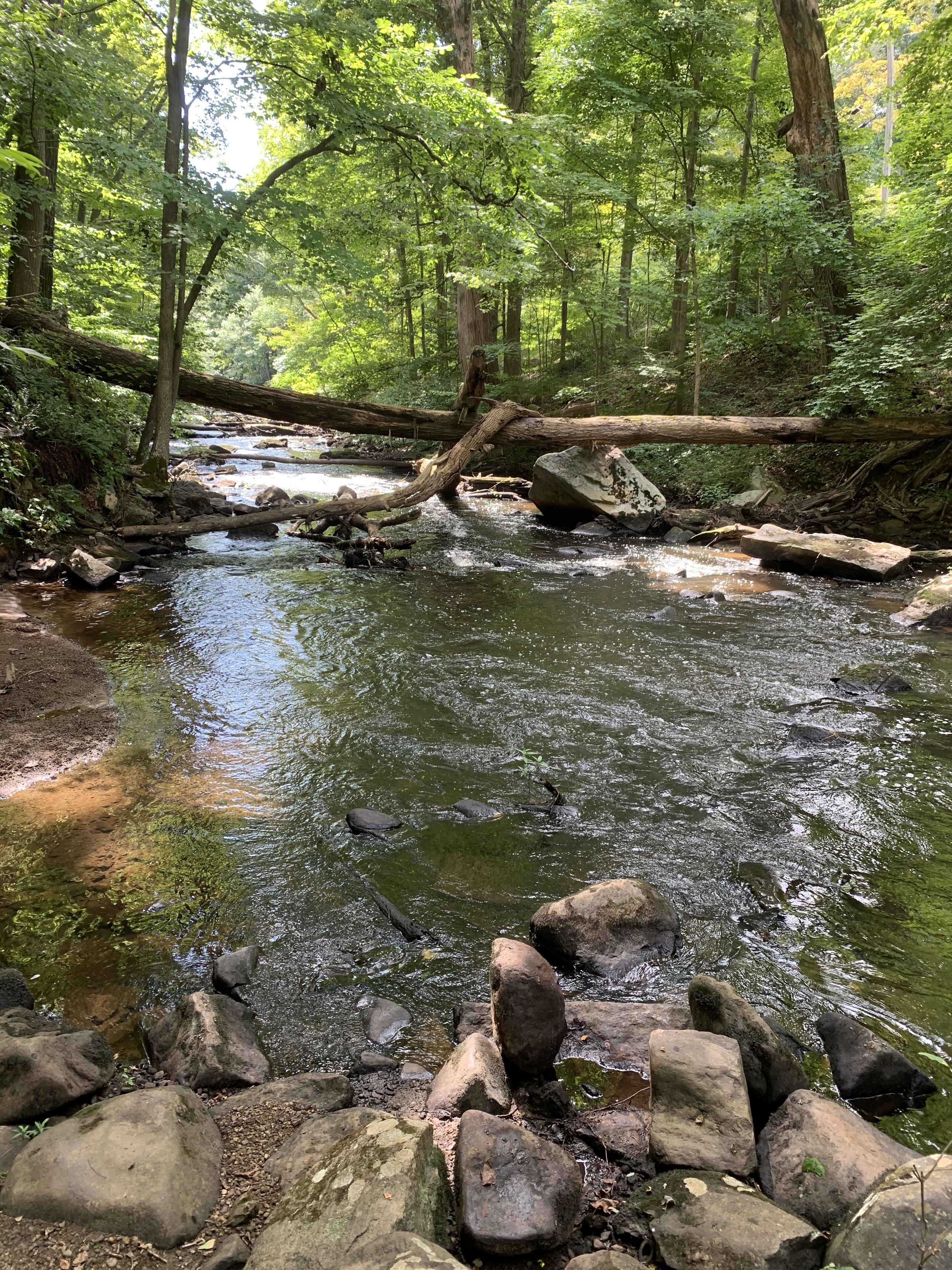 The Black River in Chester, NJ. r/newjersey