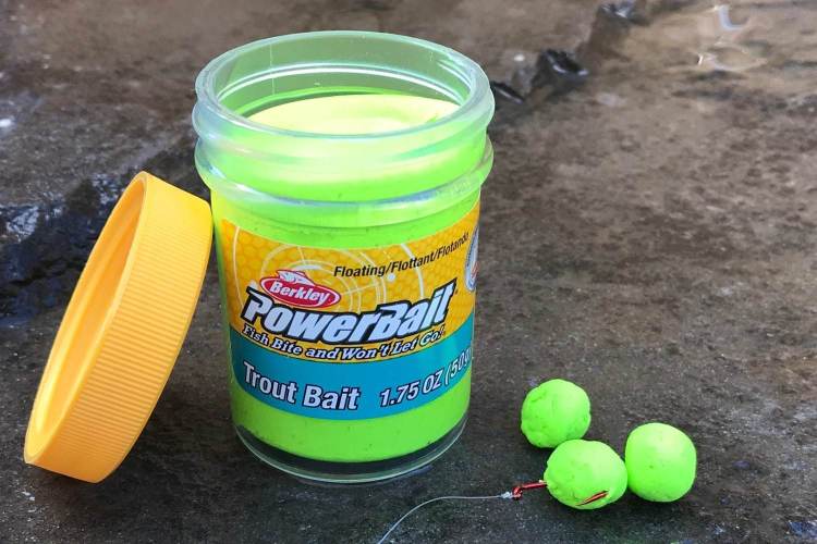 Best Trout Bait for Stocked Trout Fishing MyWaterEarth&Sky