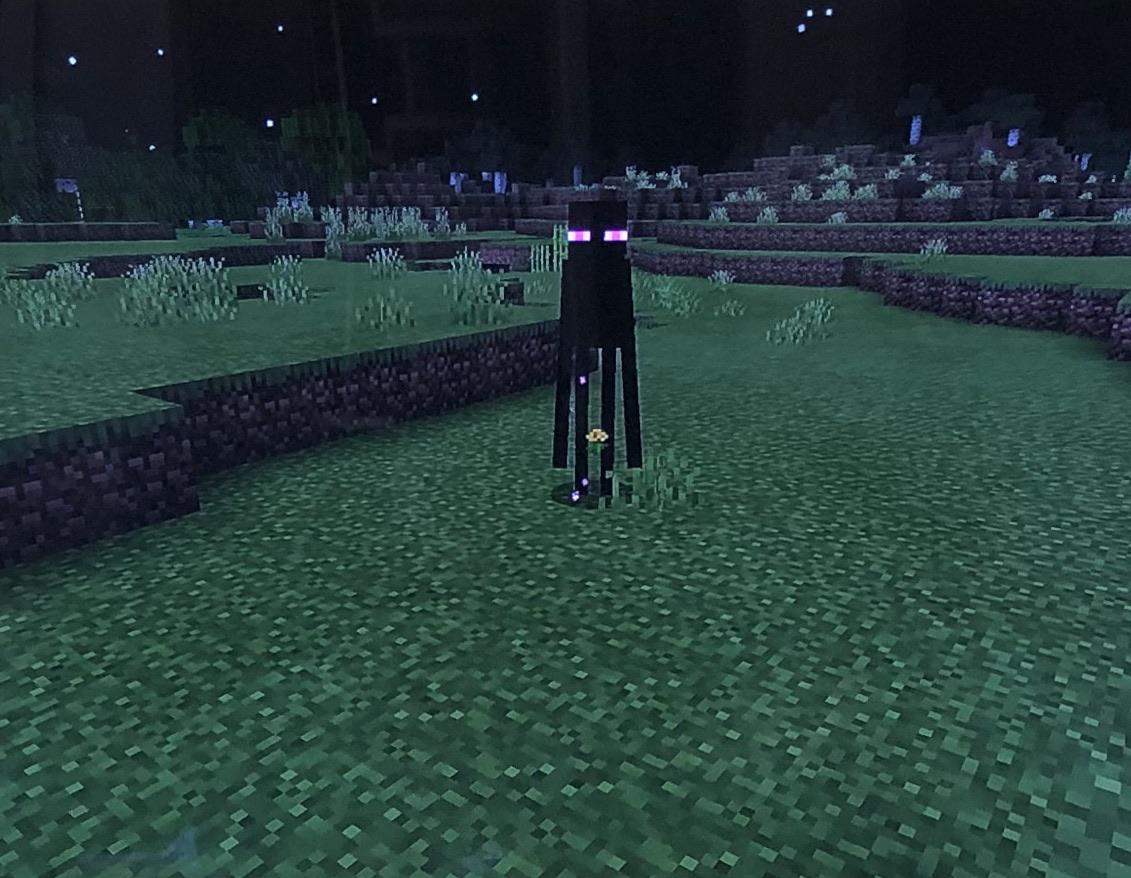 This wholesome enderman holding a flower r/Minecraft