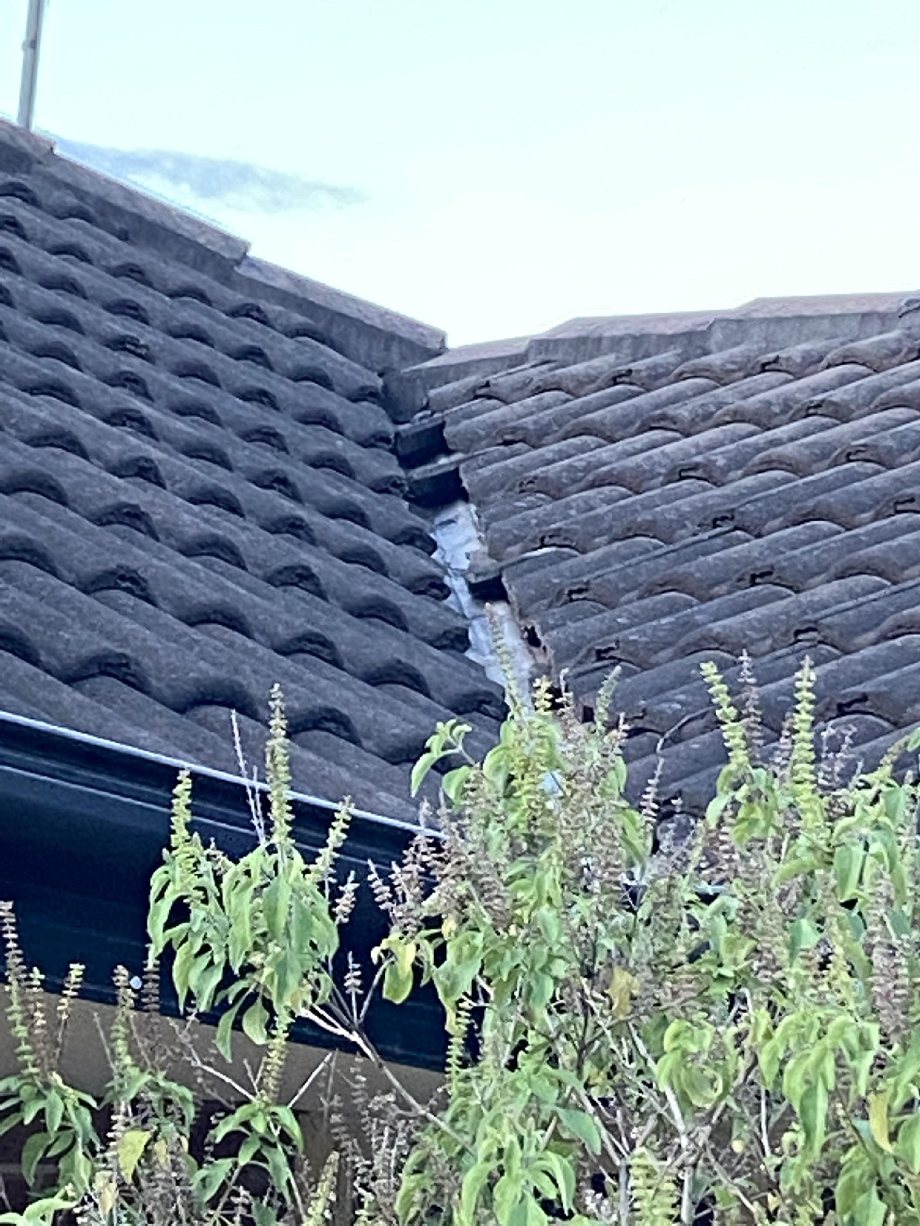 Roof tiles are slipping. What does this mean? r/AusRenovation