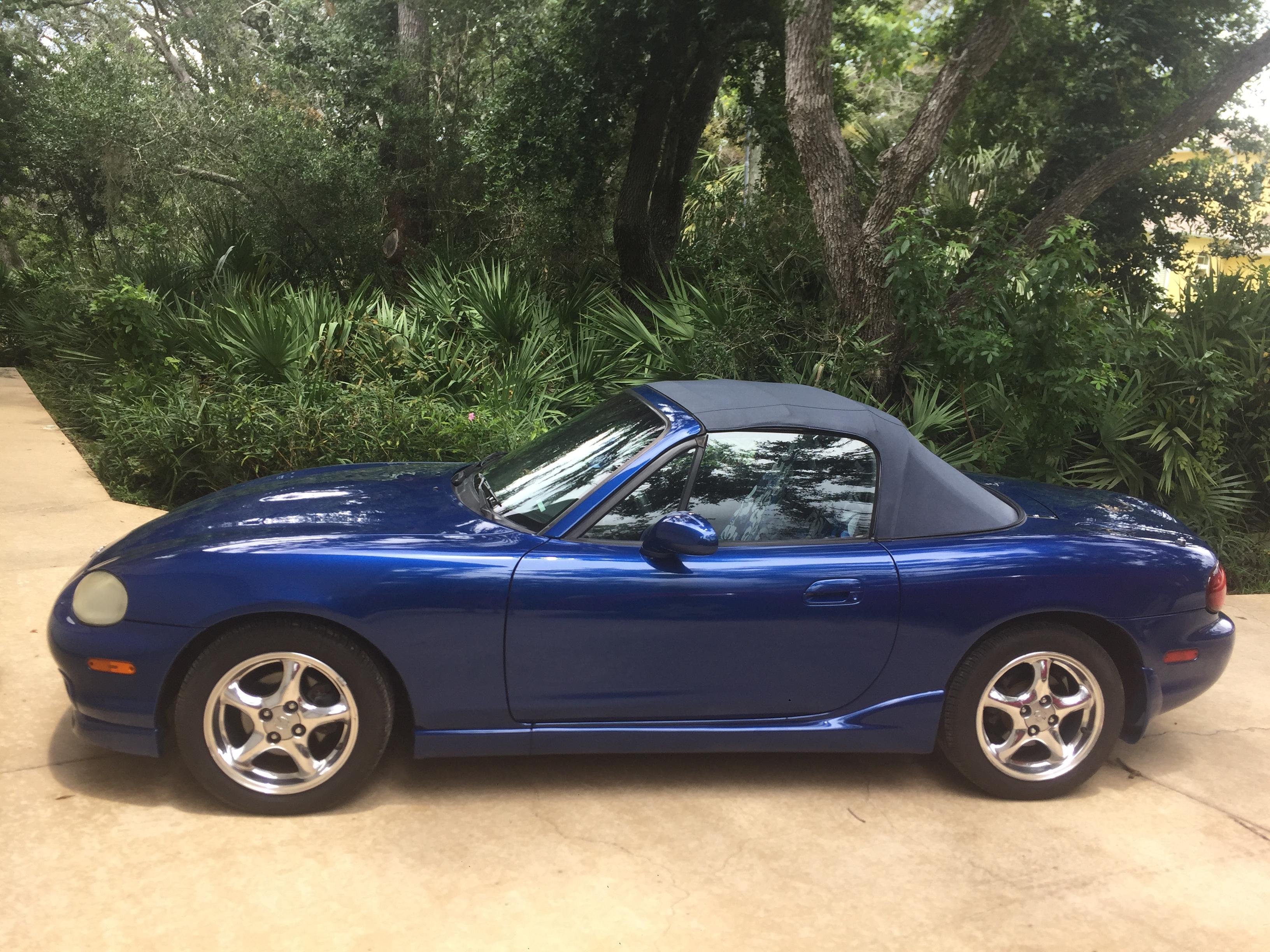 Shiny new paint job. Haven't put the badge back on yet but was too