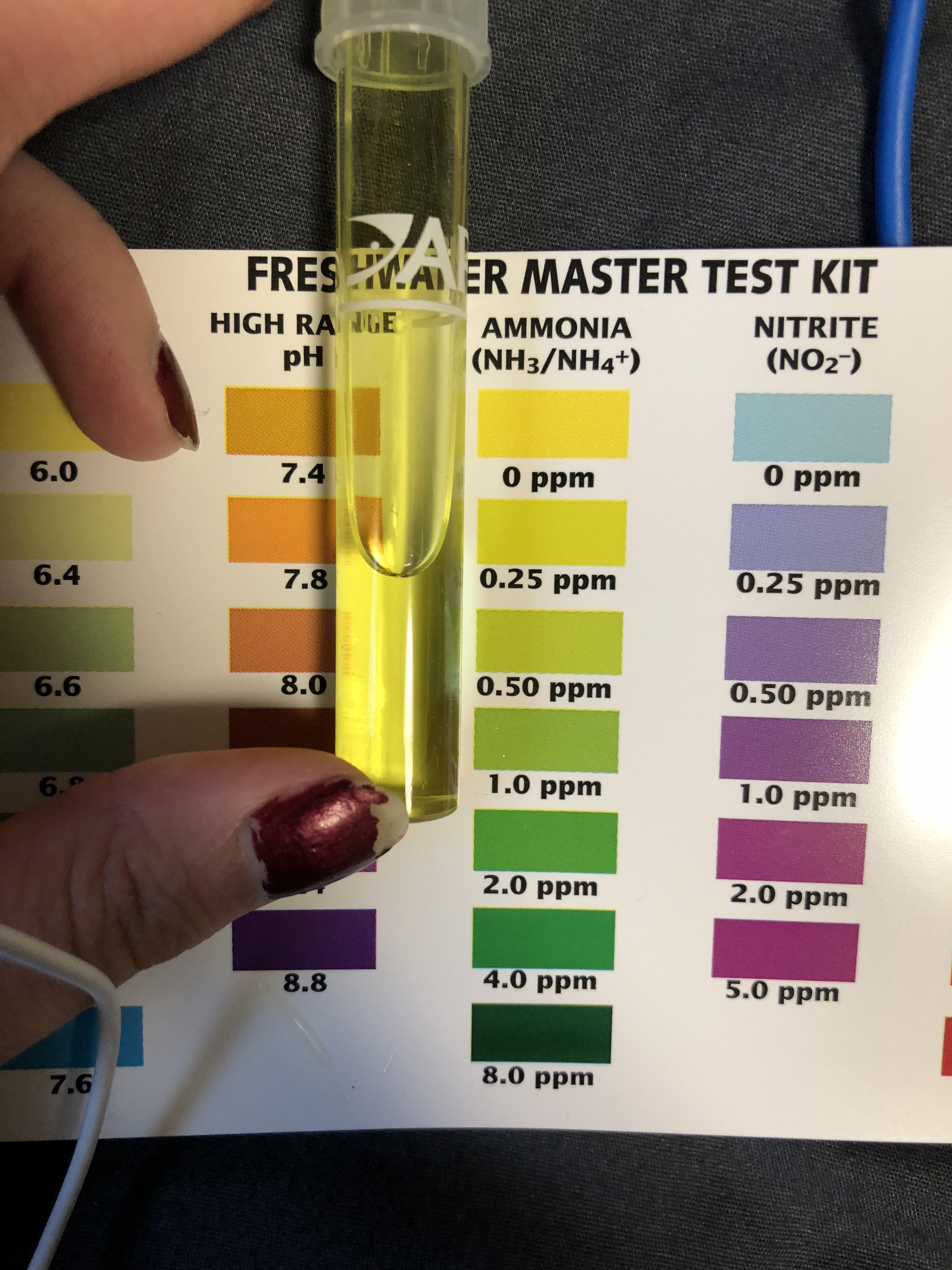 Water parameters/testing questions r/bettafish