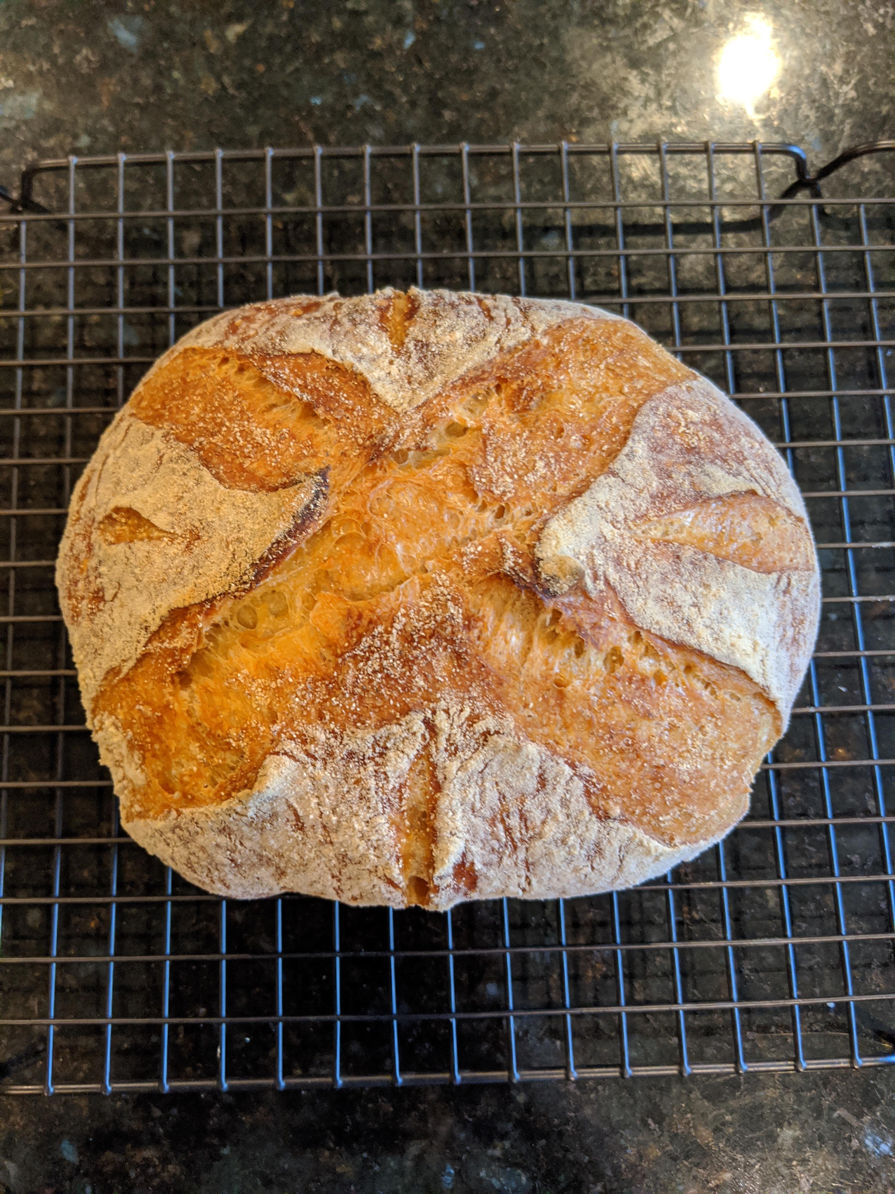 Made Kenji's Better NoKnead Bread for the first time, and I'm thrilled