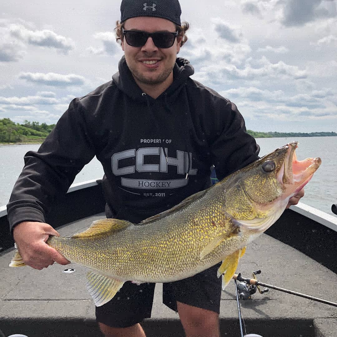 Walleye season started with a Bang! And a new personal best 11.5lbs