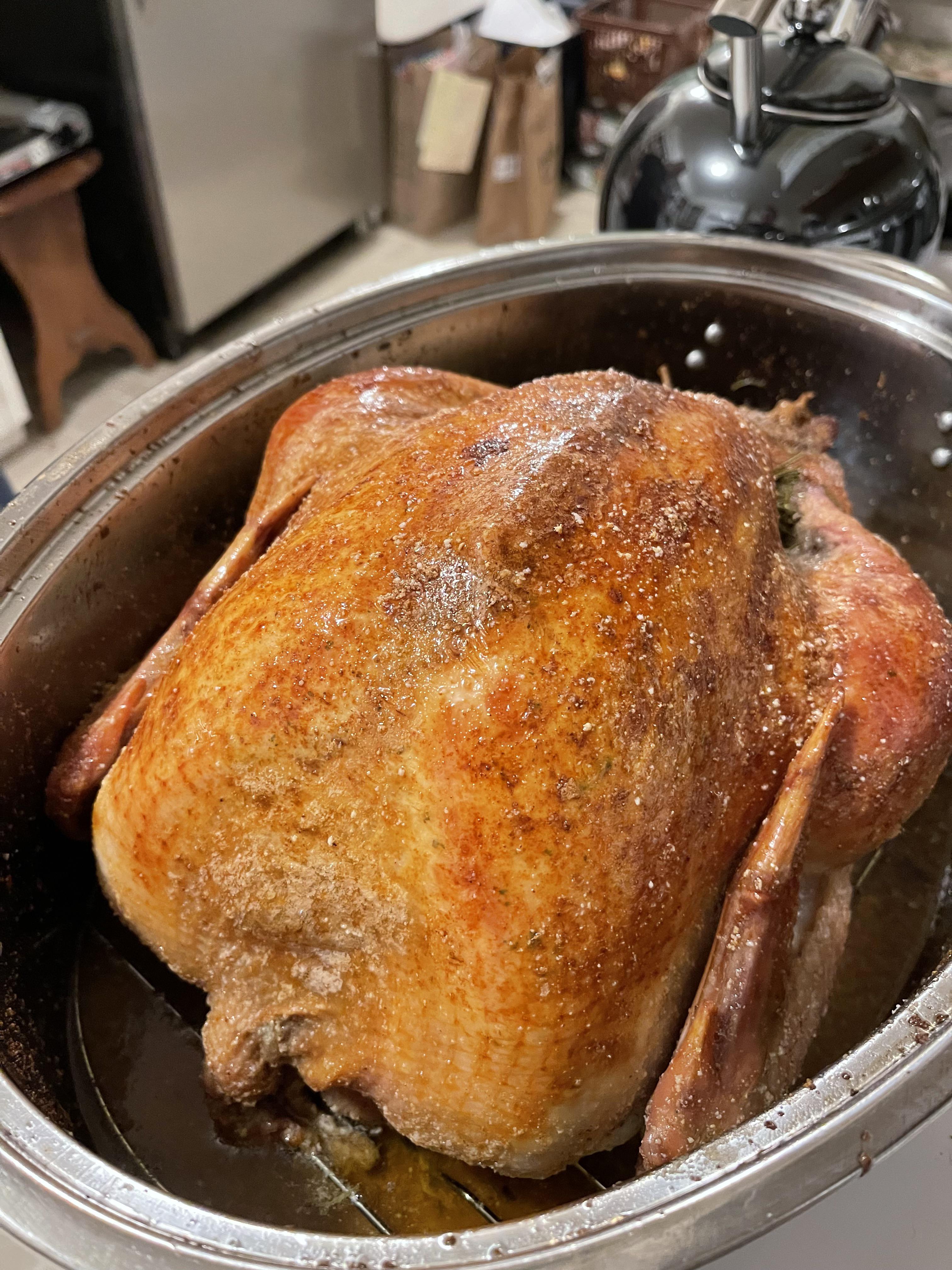 Perfect golden brown turkey cooked in a 1950’s oven r/FoodPorn