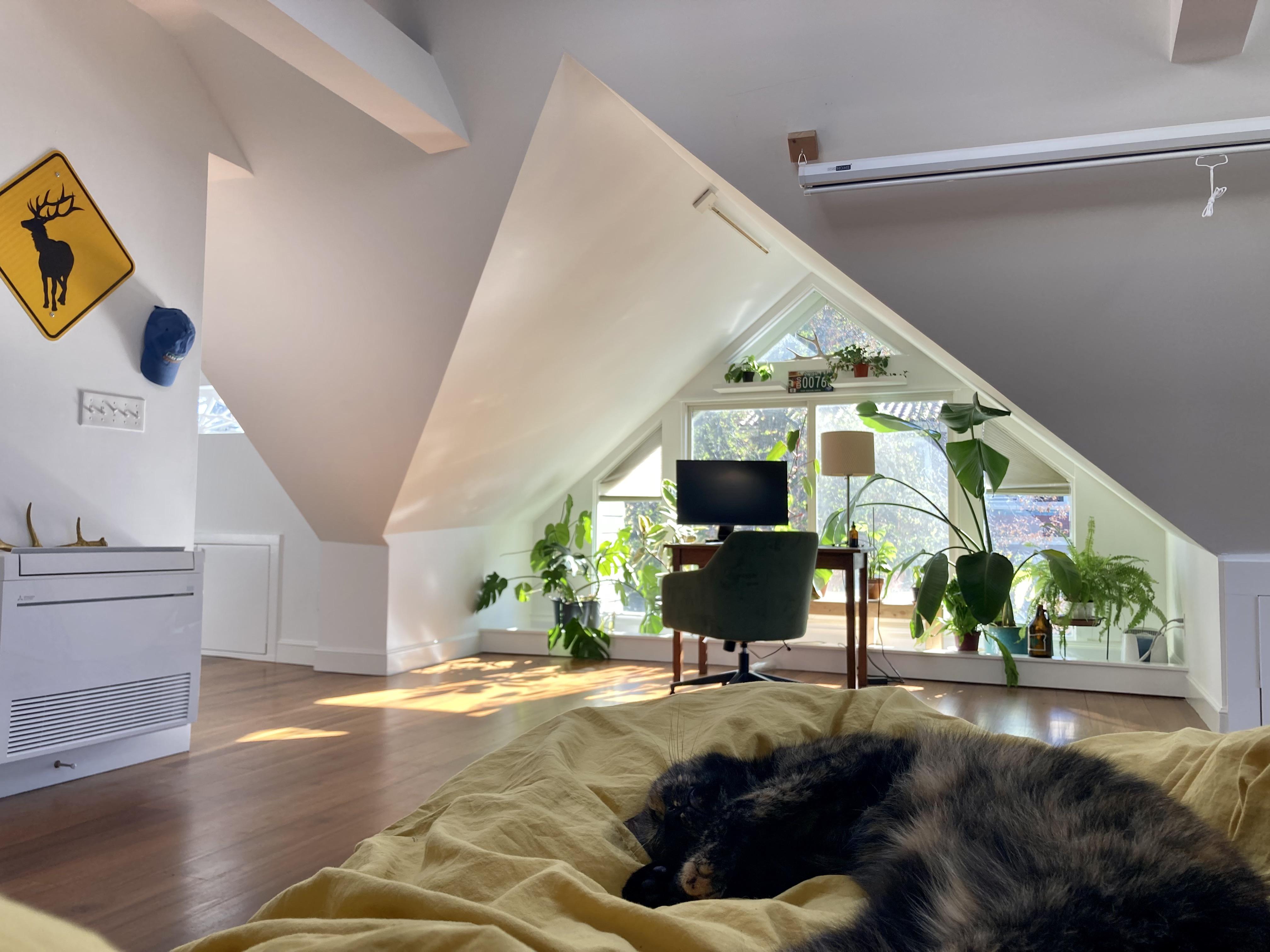 my cozy wfh area, cambridge, ma r/CozyPlaces