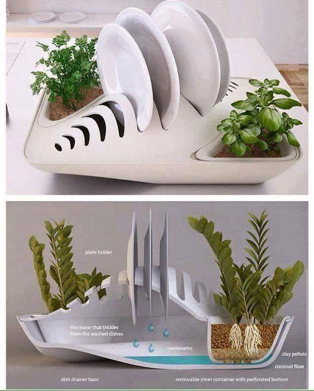 Home garden dish rack, incentive to do the dishes daily r/INEEEEDIT