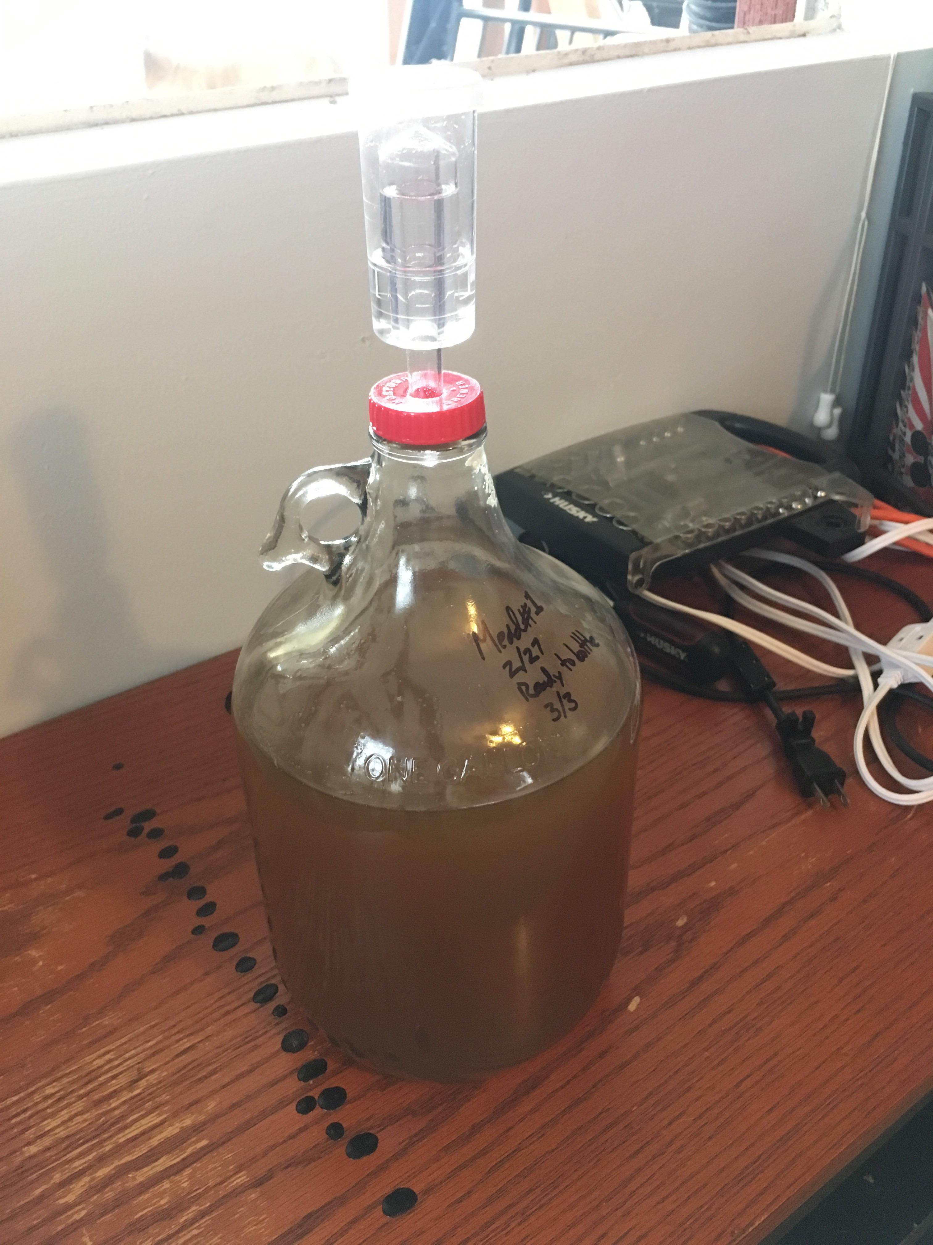 My First Ever Homebrew, Based on a very quickly fermenting recipe from